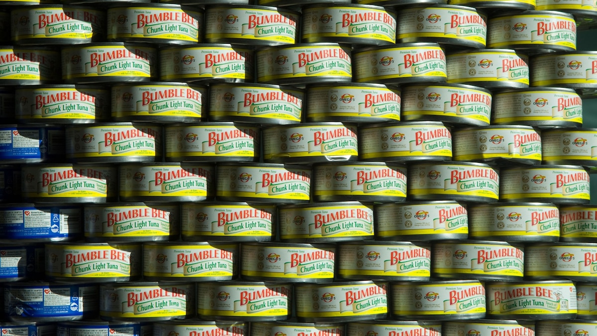 How to pick the most ‘dolphinsafe’ tuna