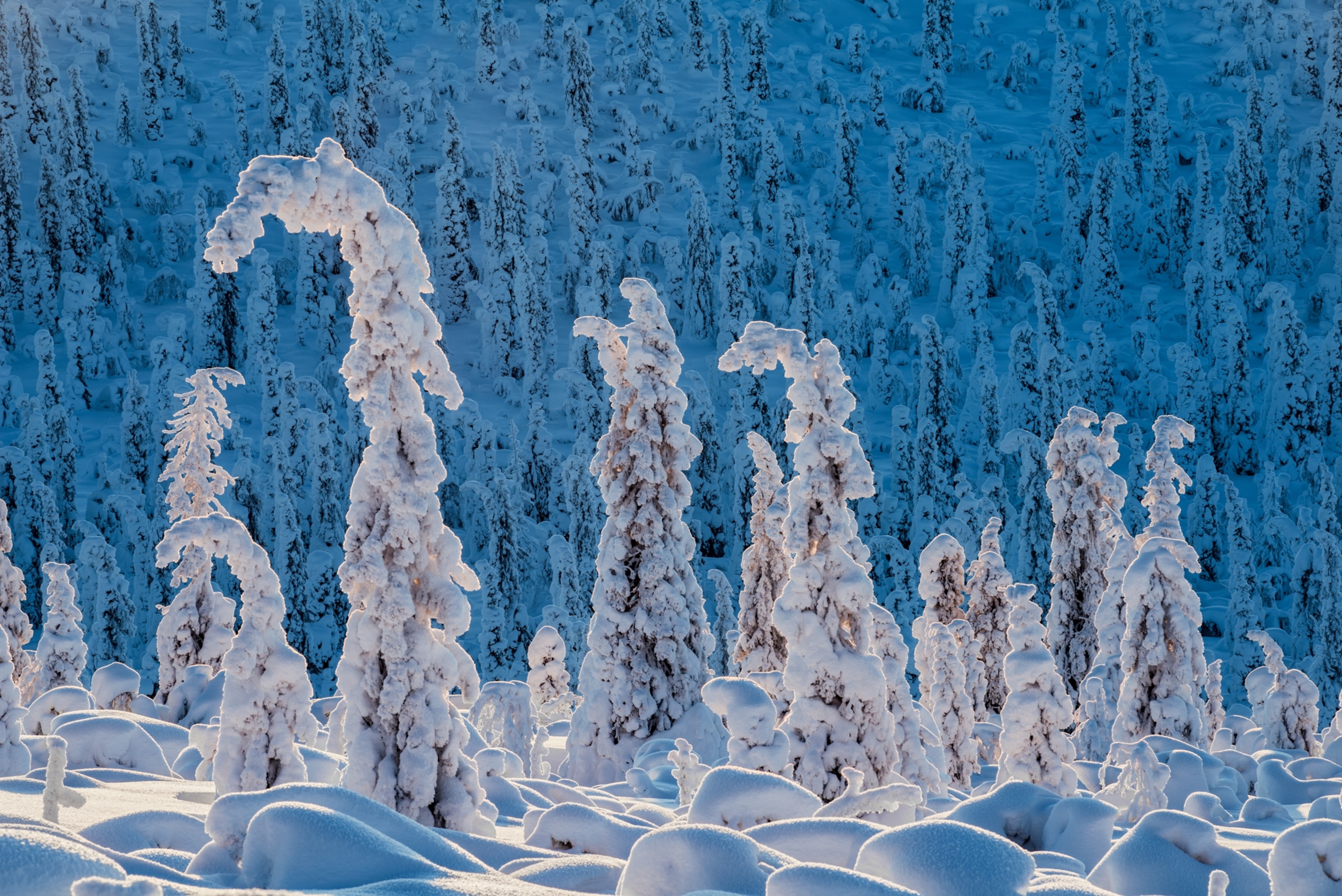スウェーデン　洋書　本　National Parks of Sweden The New American Garden, The Landscape Architecture of Oehme