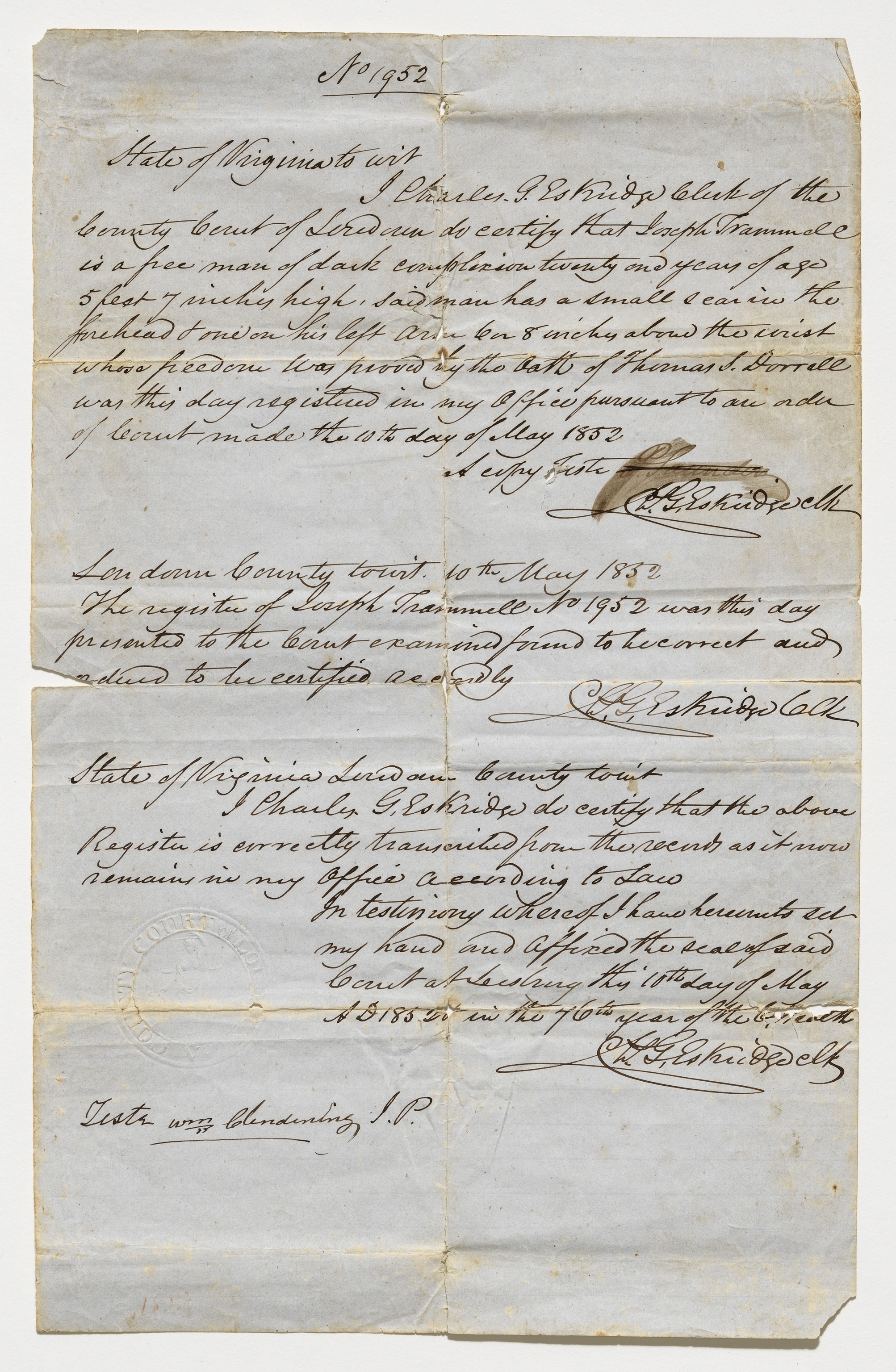 freedom paper details