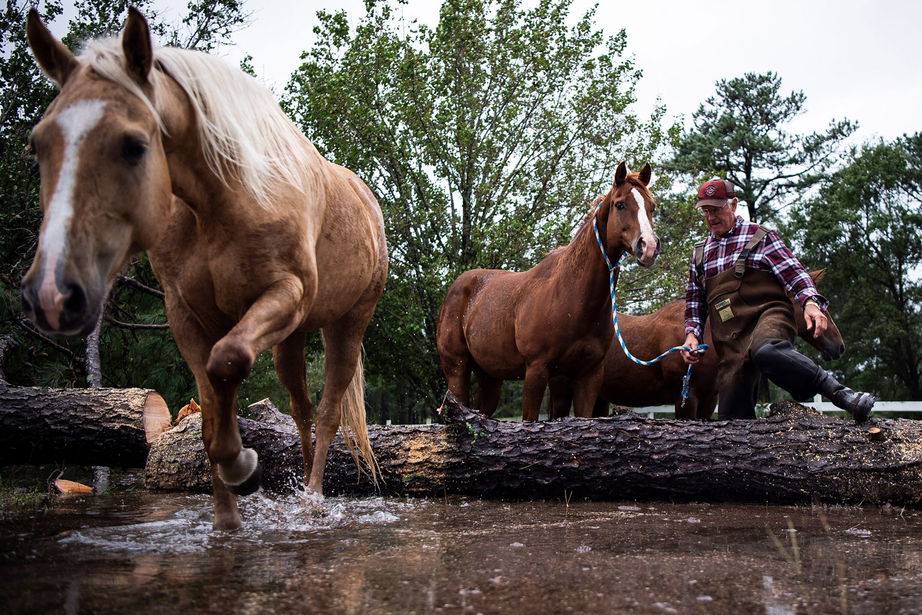 the effects of Hurricane Florence