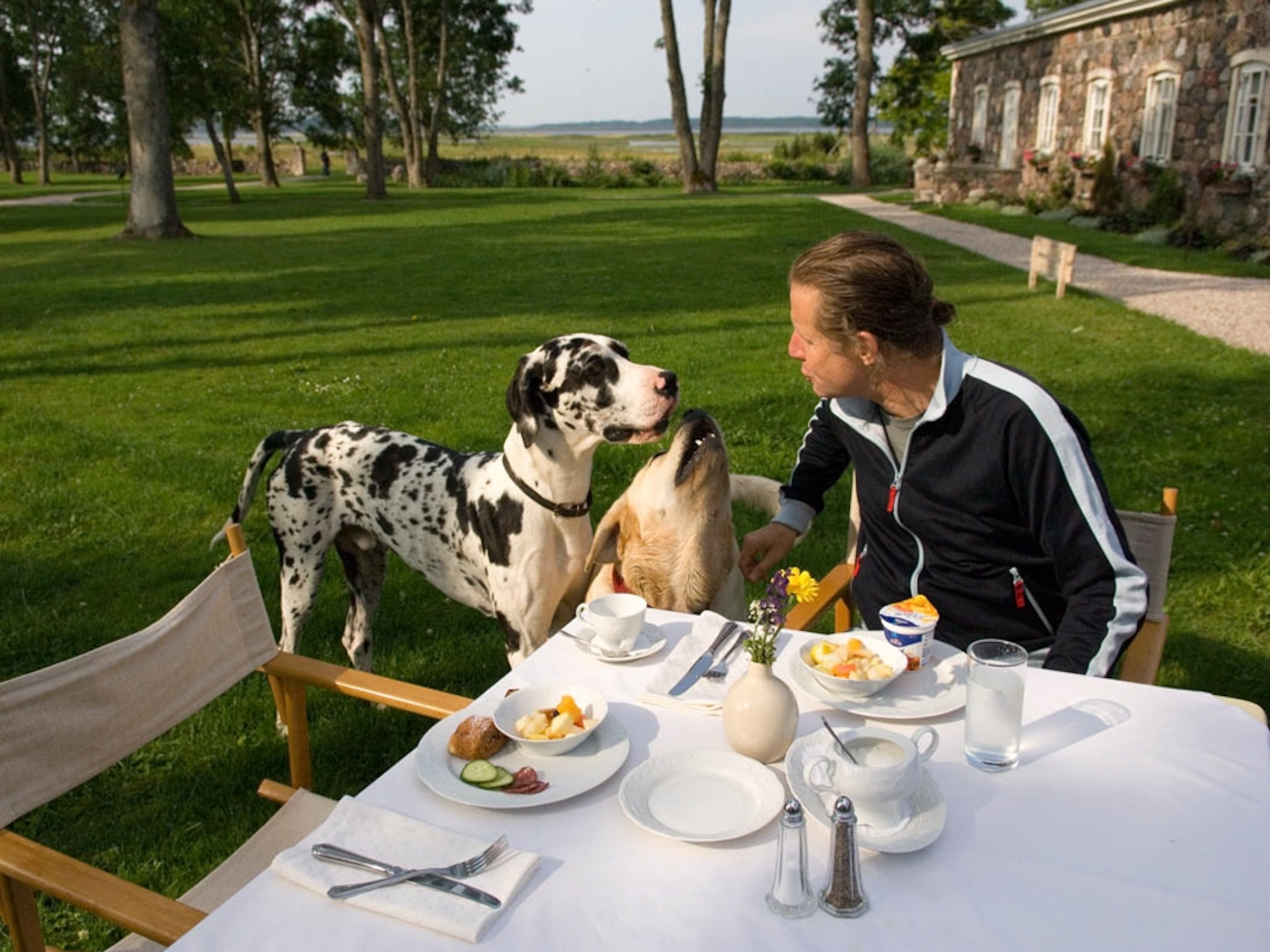 Man with dog at Padaste Manor, Estonia