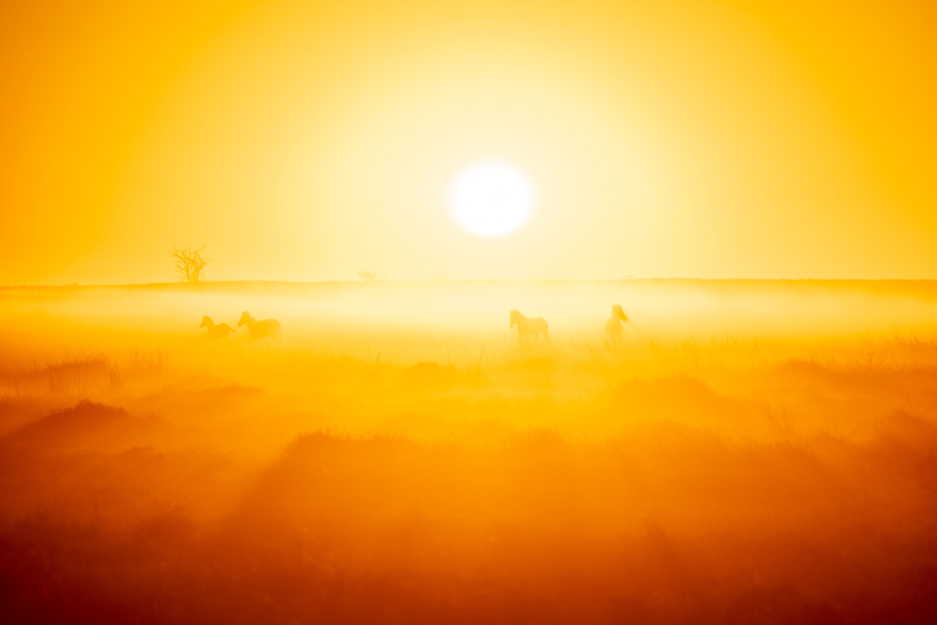 A photographic exploration of the meaning behind the Kalahari desert, which stretches into all three regions of the Okavango River Basin
