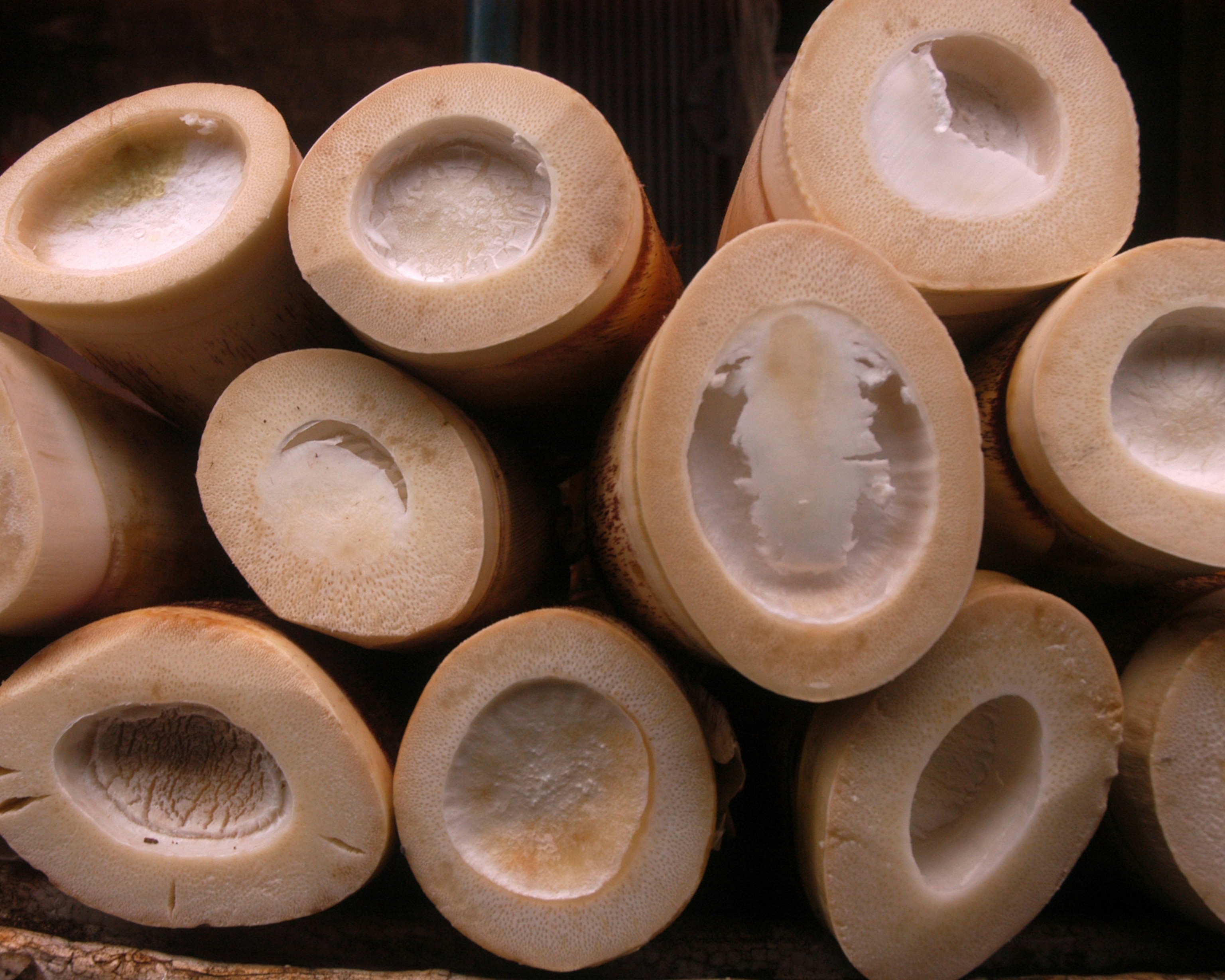 Close-up of a stack of cut bamboo stalks, revealing hollow interiors with varied textures.