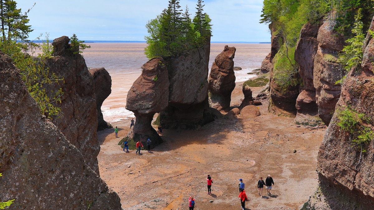 Anyone can discover a fossil on this beach—if you wait out the tides