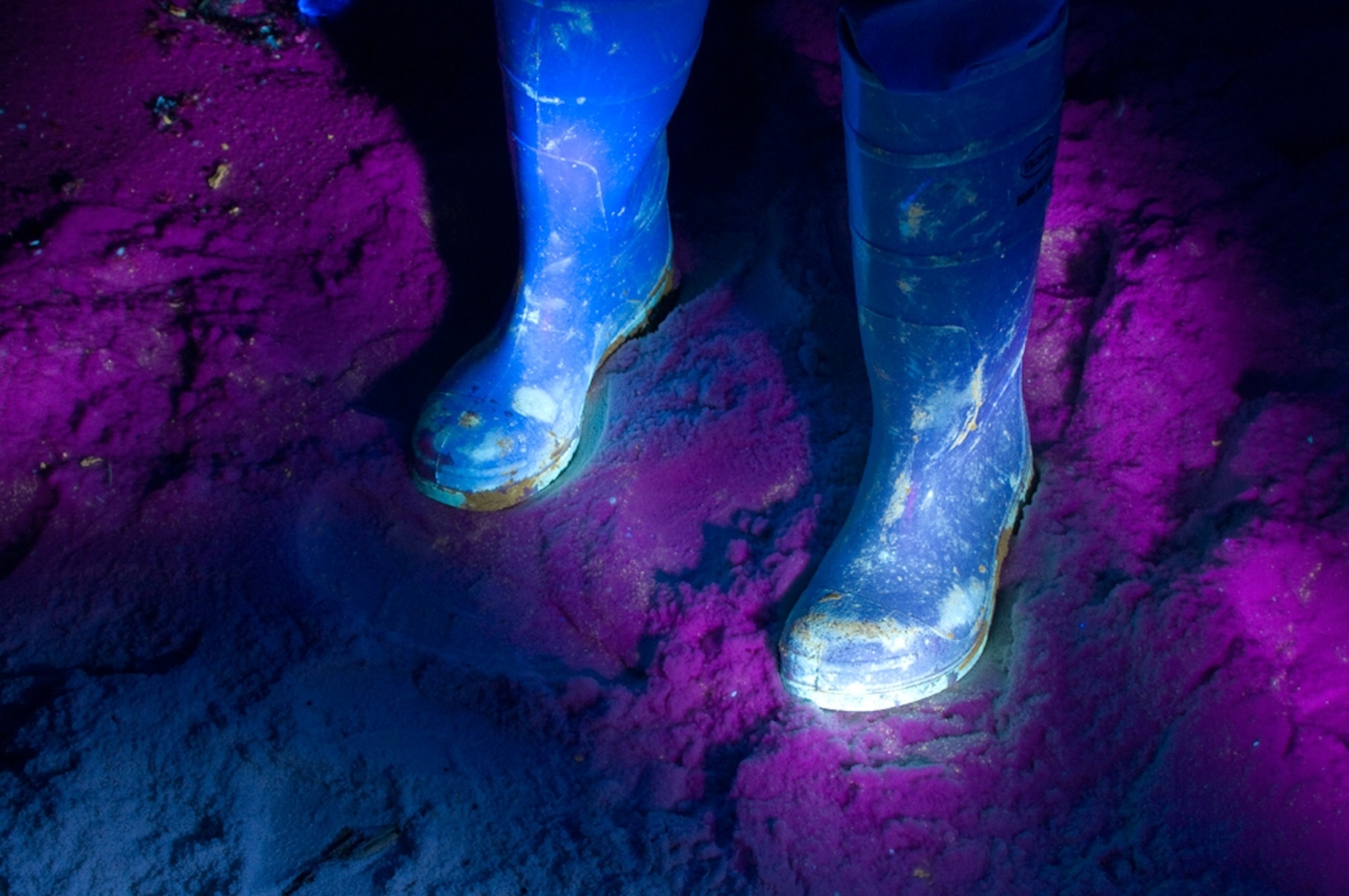 boots dirty with oil from the Gulf spill, as seen in UV light.