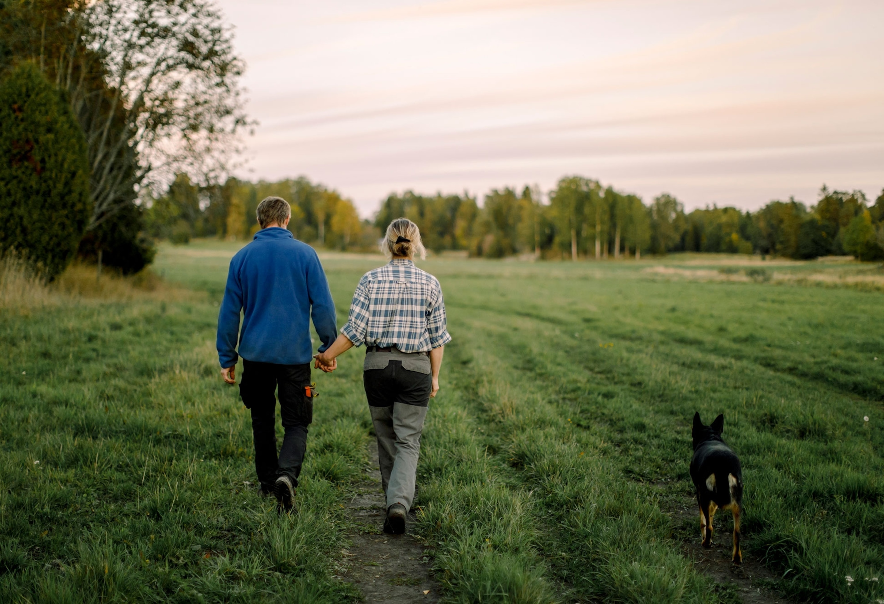 Couple holding hands and walking with dog on field at sunset.