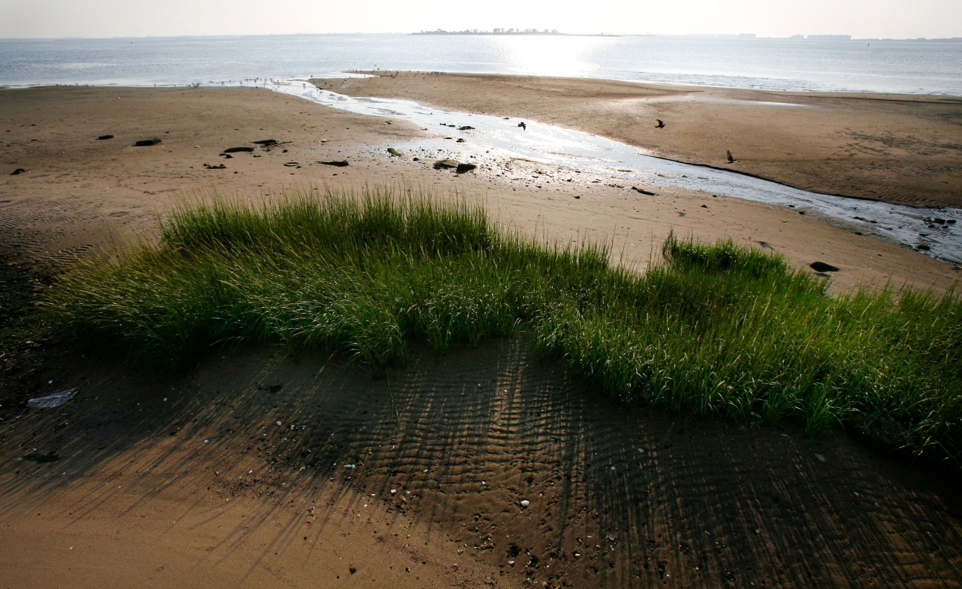 A strip of march along Jamaica Bay, Gateway National Recreation Area