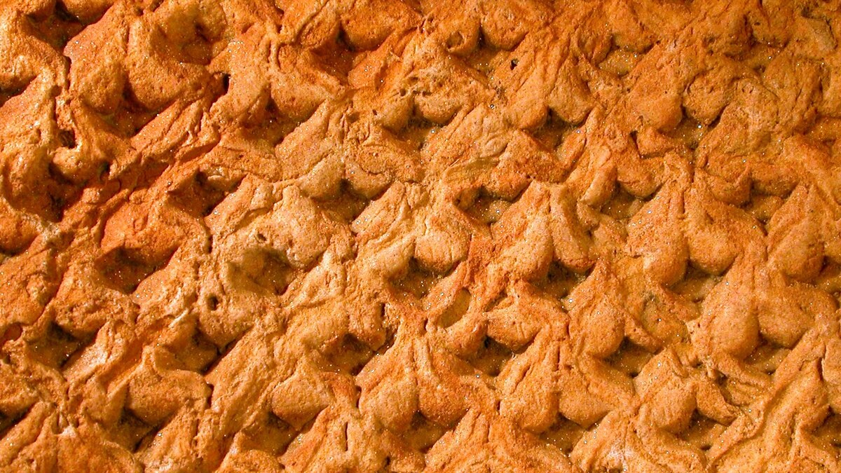 Getting to the Root of How Earth’s Massive Coal Seams Formed