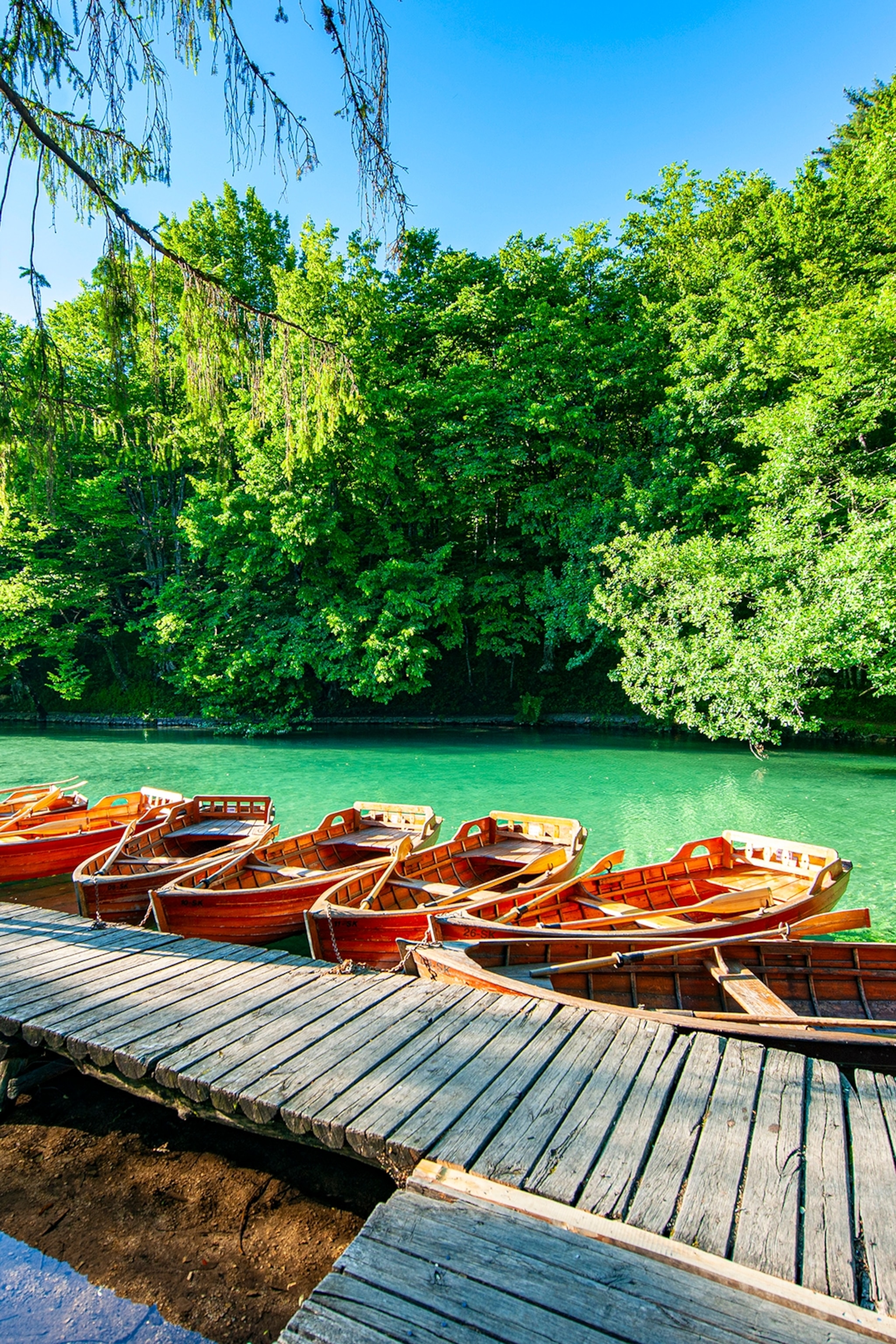 Rowing boats tied to a pier on a lake with lush greenery on its edge.