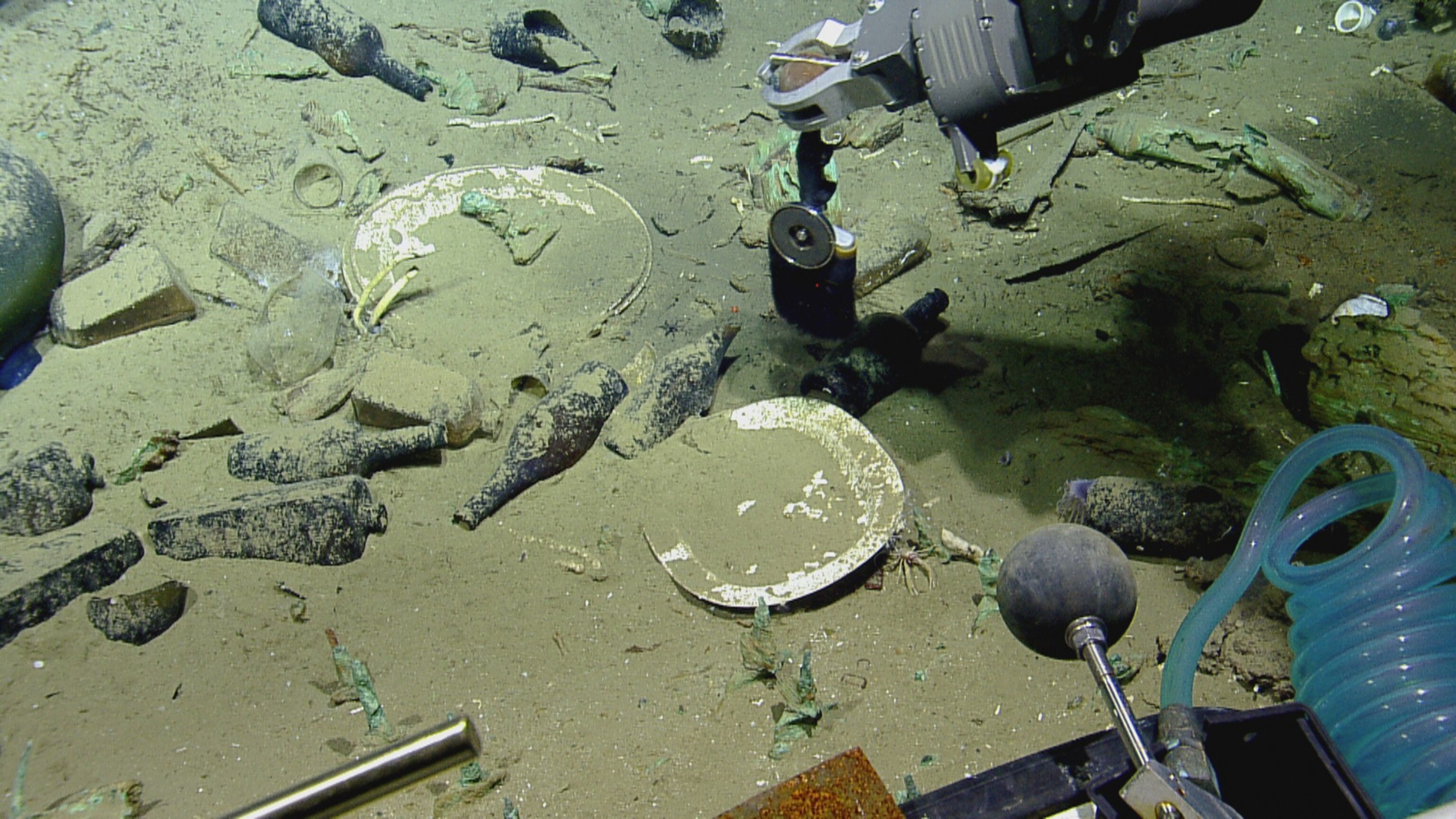 plates resting on the seafloor of the Gulf of Mexico