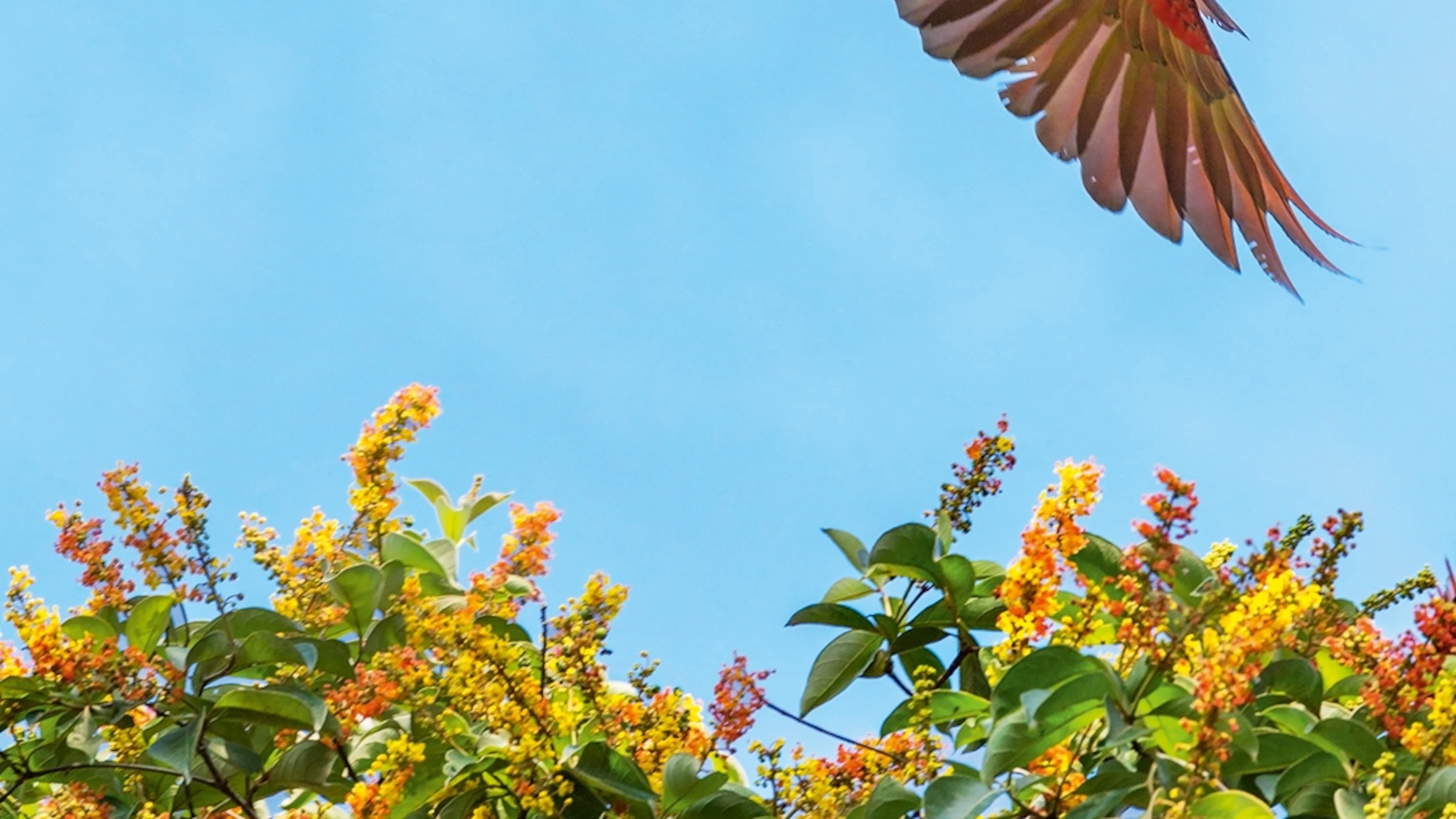 What you should know before booking a trip to Costa Rica