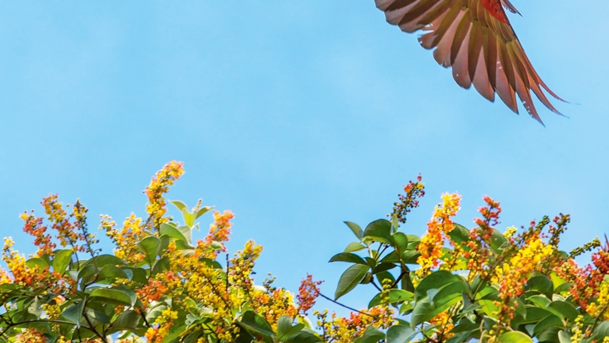What you should know before booking a trip to Costa Rica