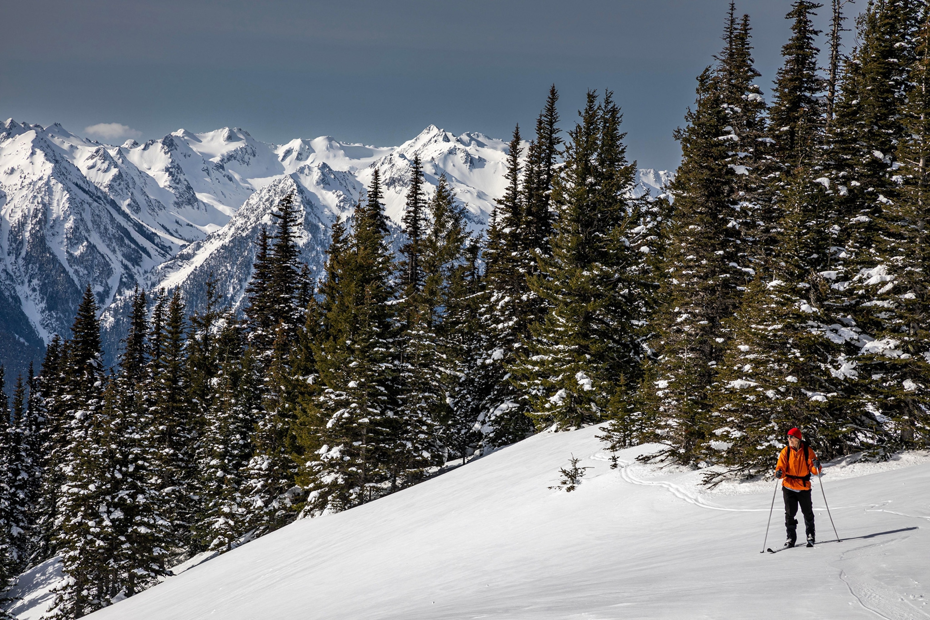 A lone skier in an orange jacket stands on snowy mountain top surrounded by trees, snow-covered mountain range in background