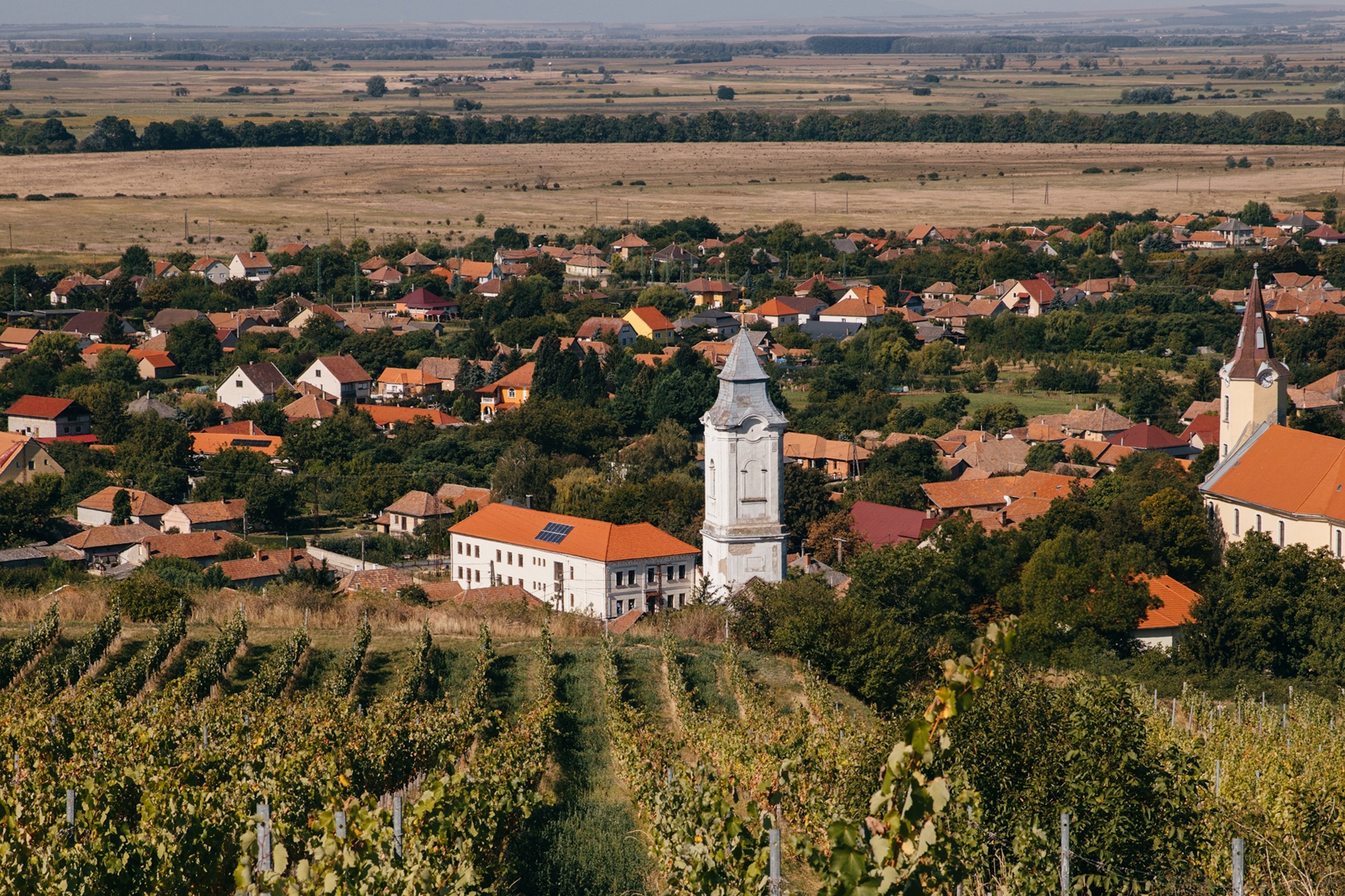 Views over Tarcal and its vineyards.