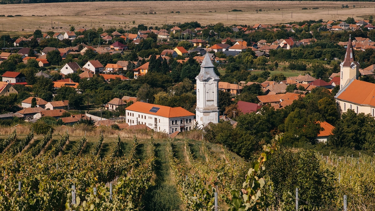 The hidden European wine region for food-lovers to visit now