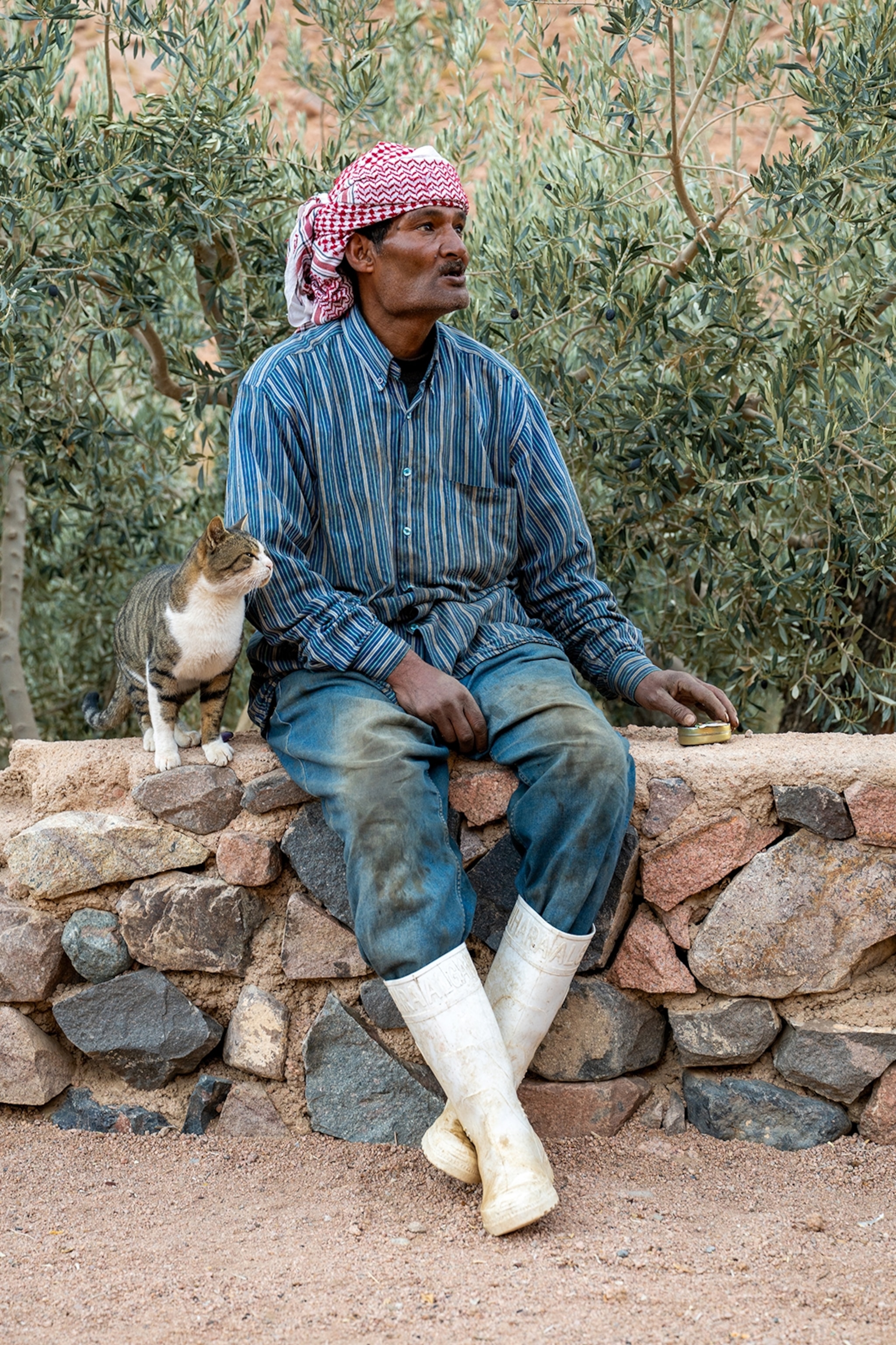 A man sits on a brick wall next to cat.