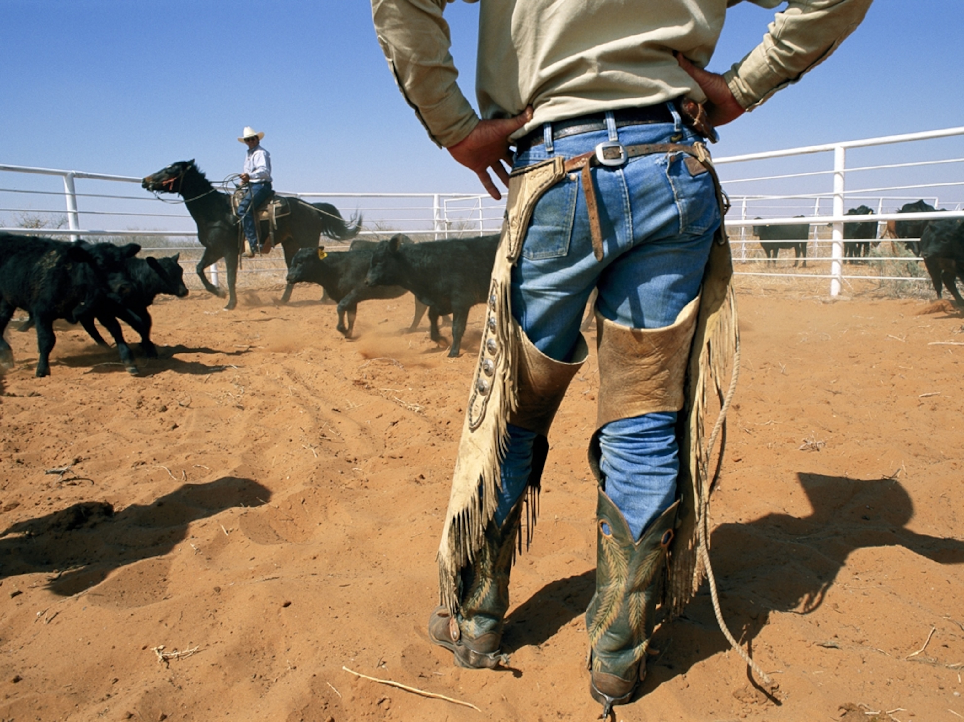 Cowboy ready to brand cattle, Texas
