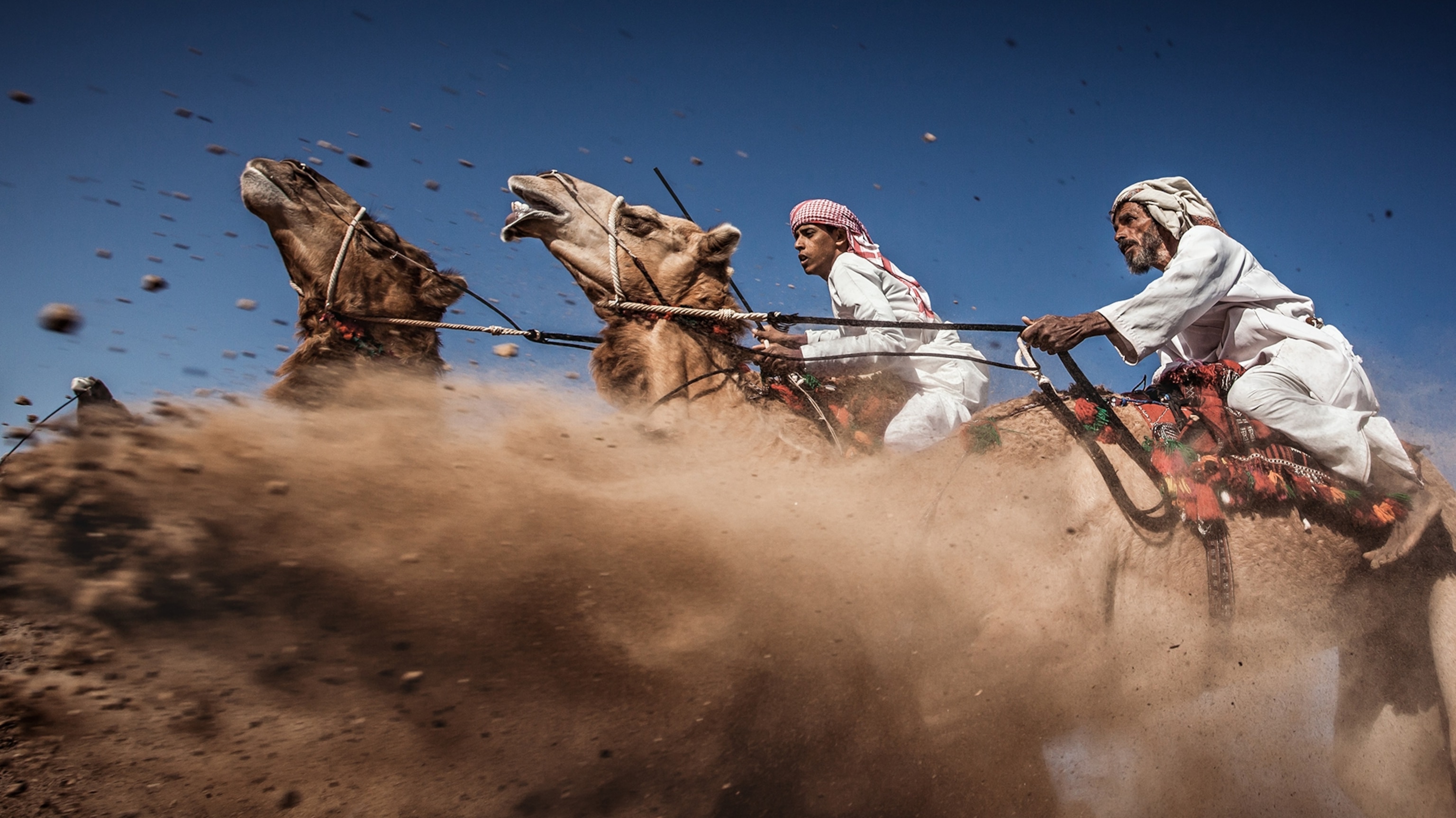 camel racing in Oman
