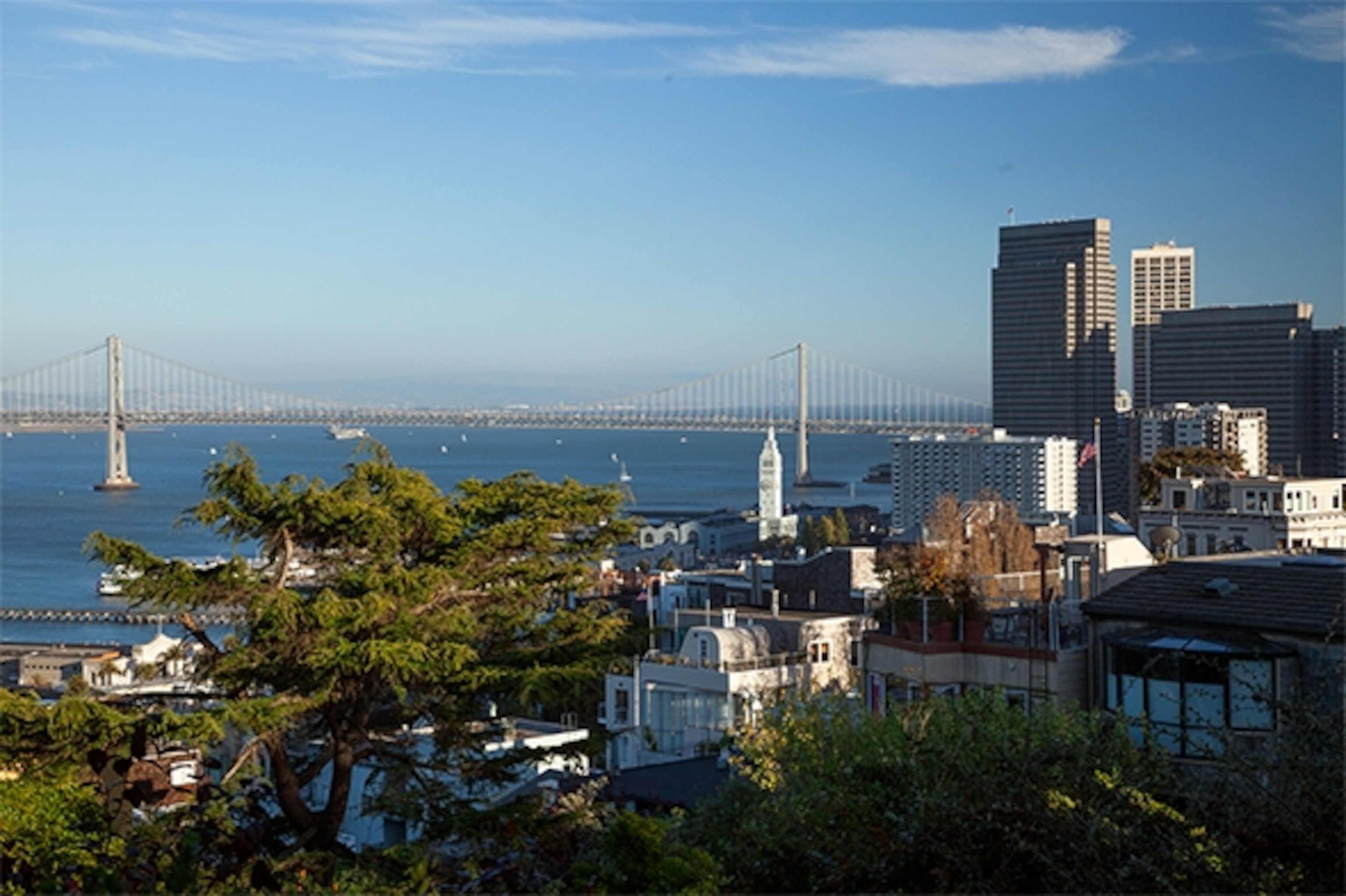 From the top of Telegraph Hill, Coit Tower looks towards the Ferry Building clock tower, the Bay Bridge and downtown San Francisco. (Photograph by Catherine Karnow)