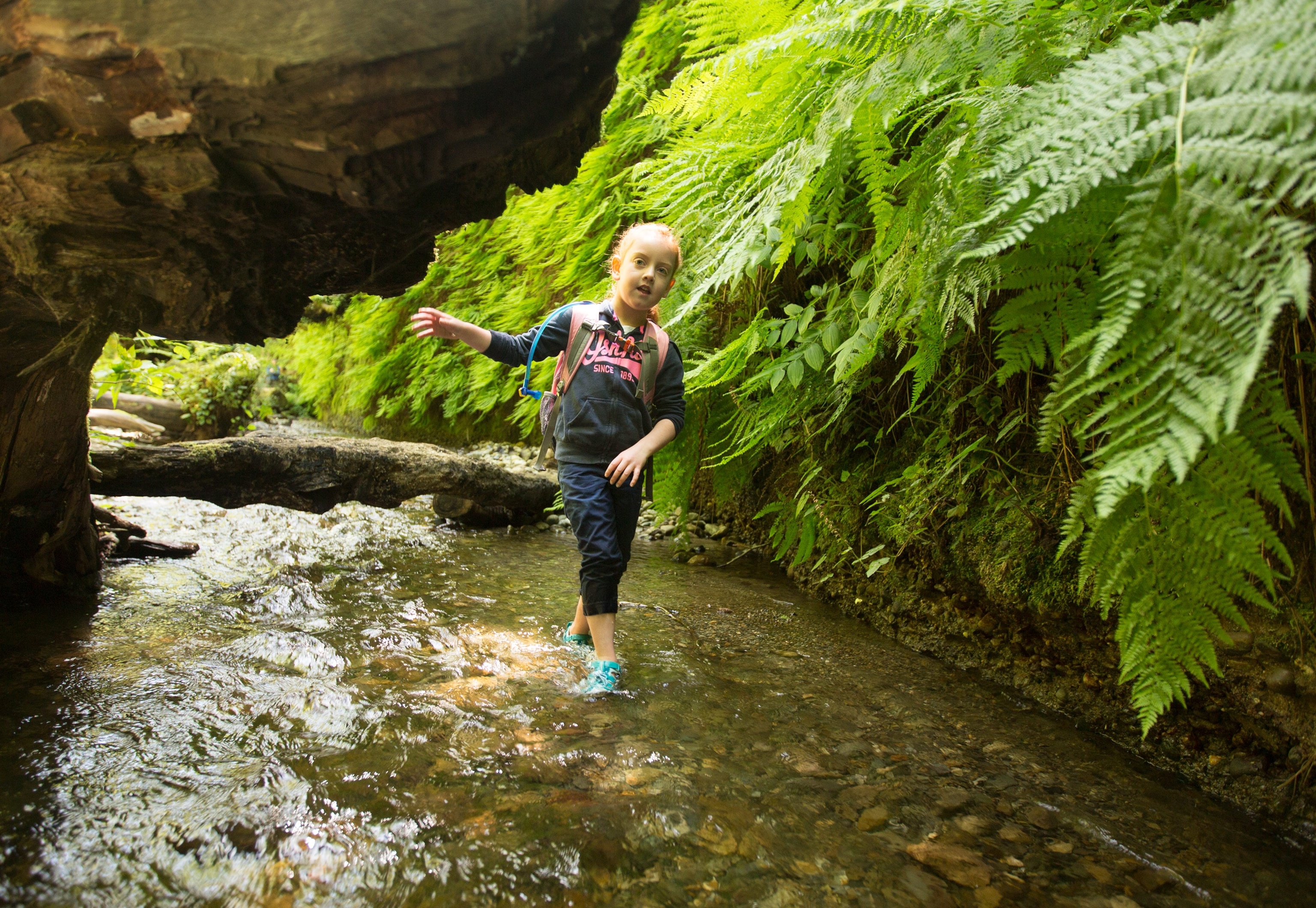 a girl in Fern Canyon in Prairie Creek Redwoods State Park, California
