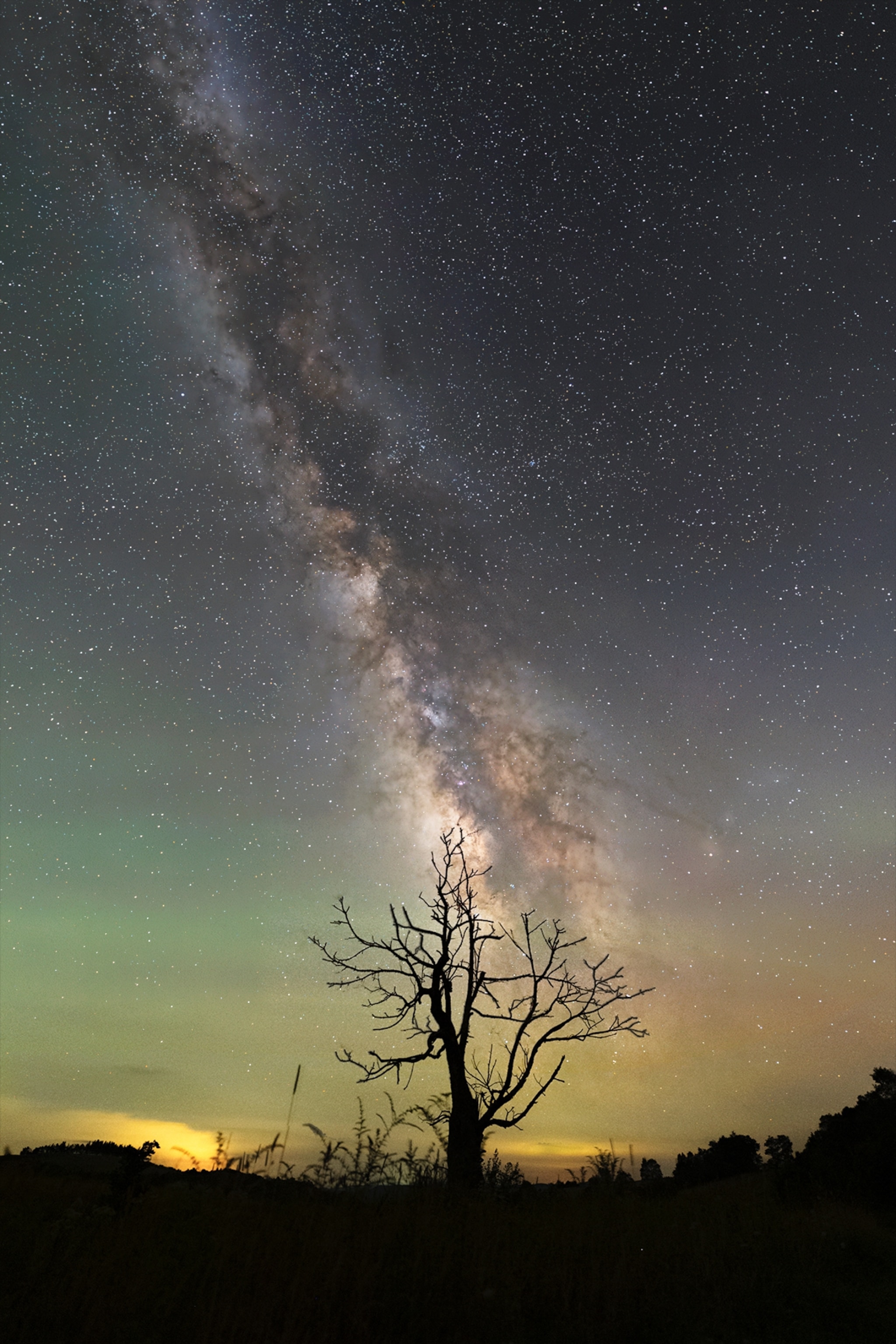 Spruce Knob Tree from Almost Heaven Star Party in August 2025.