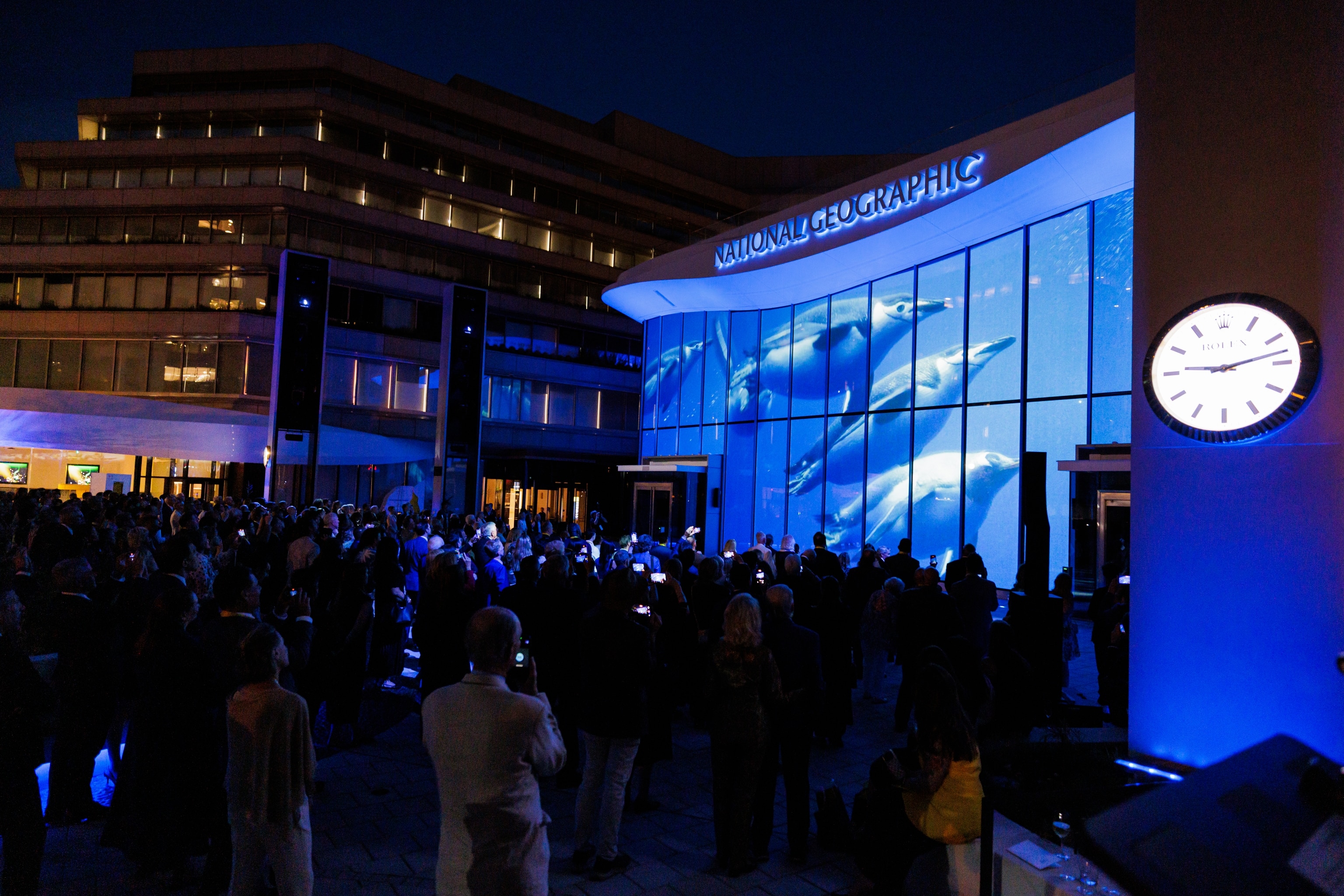 An image of a underwater film being projected on the glass wall of the New Museum of Exploration