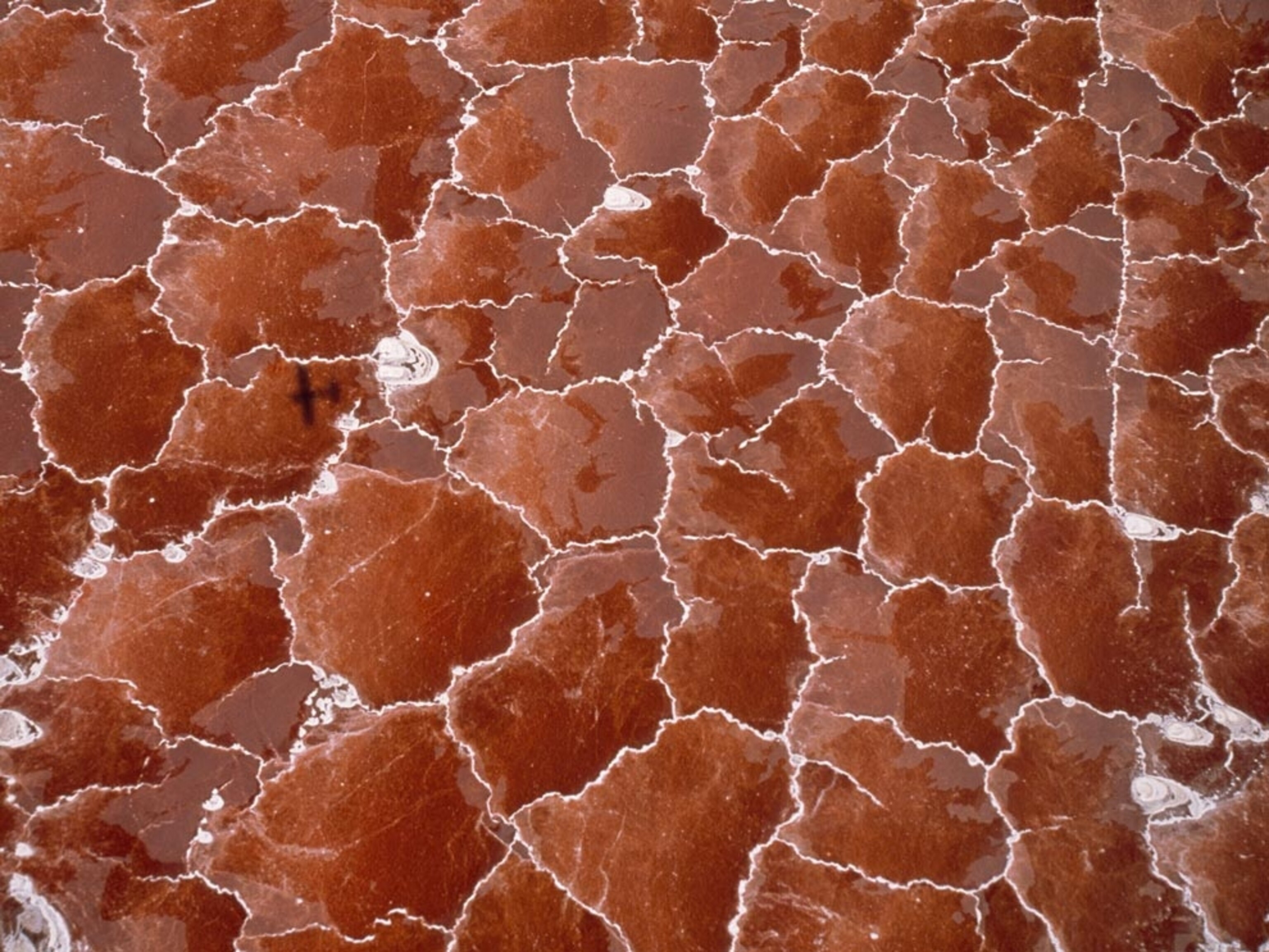 Lake Natron in Tanzania