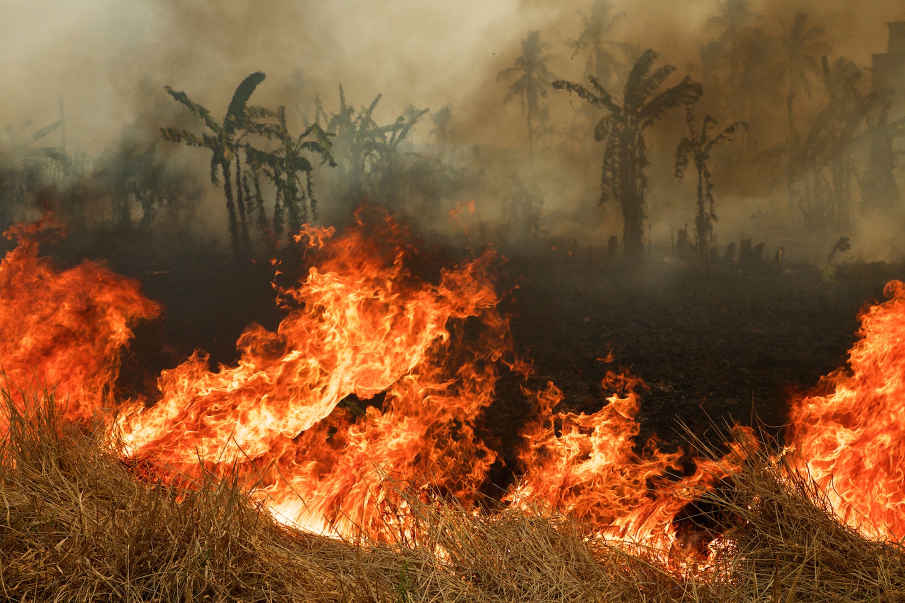 Villagers and some Indonesian soldiers attempt to combat wildfire
