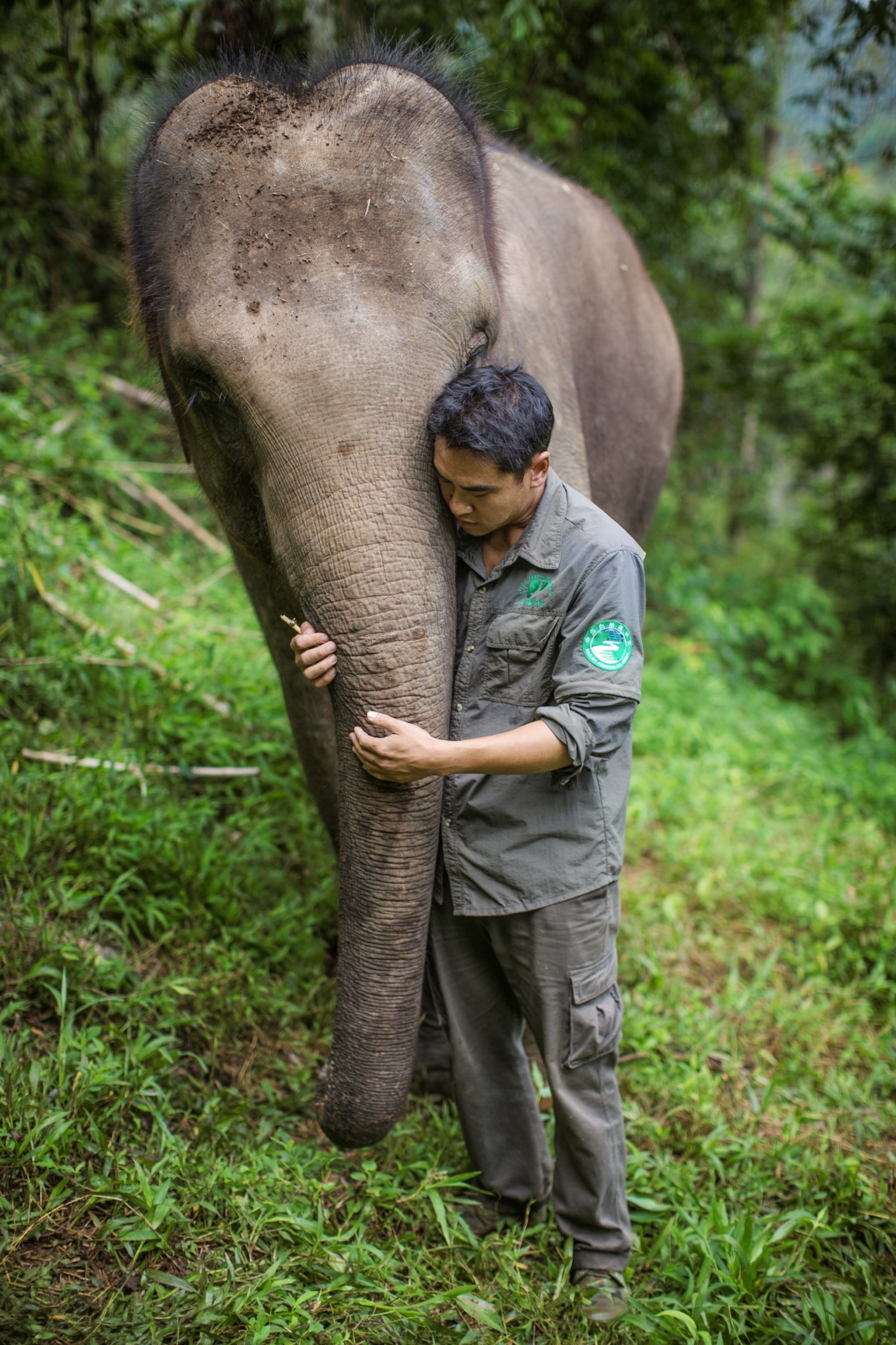 Kenyan Wildlife Ranger Charles Chepkowny posing with an elephant tusk in the Tsavo East national park, Kenya.