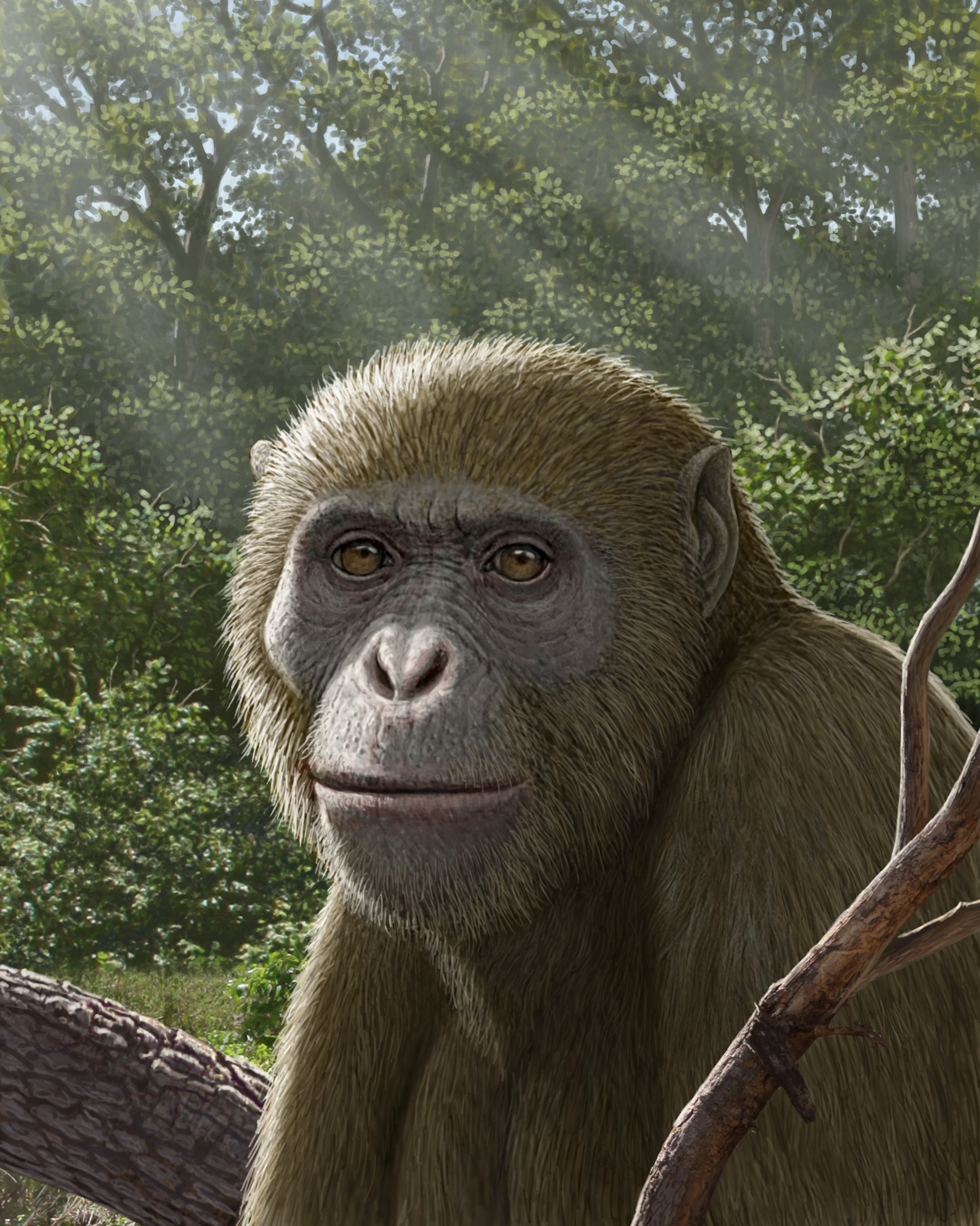 A lifelike illustration of a prehistoric primate with soft brown fur and expressive eyes, set against a lush, sun-dappled forest backdrop