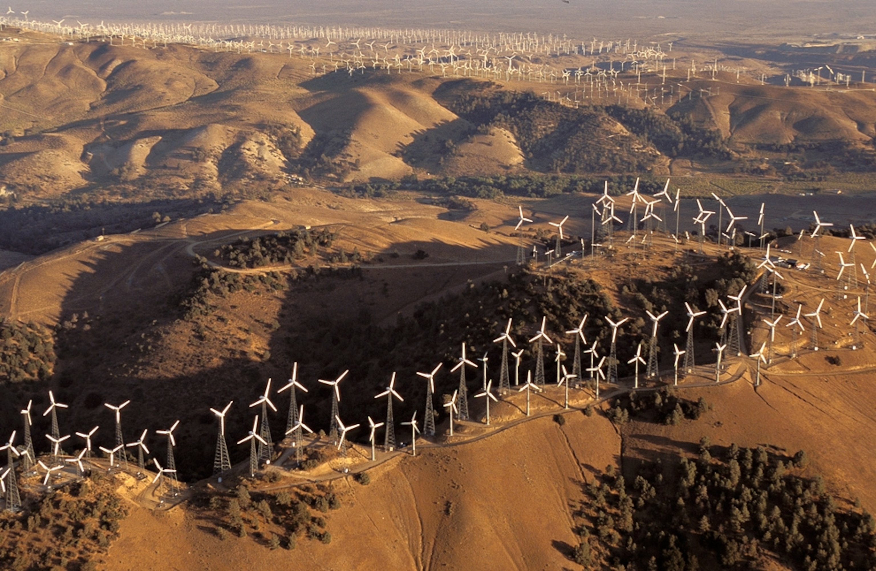 Wind farm in California