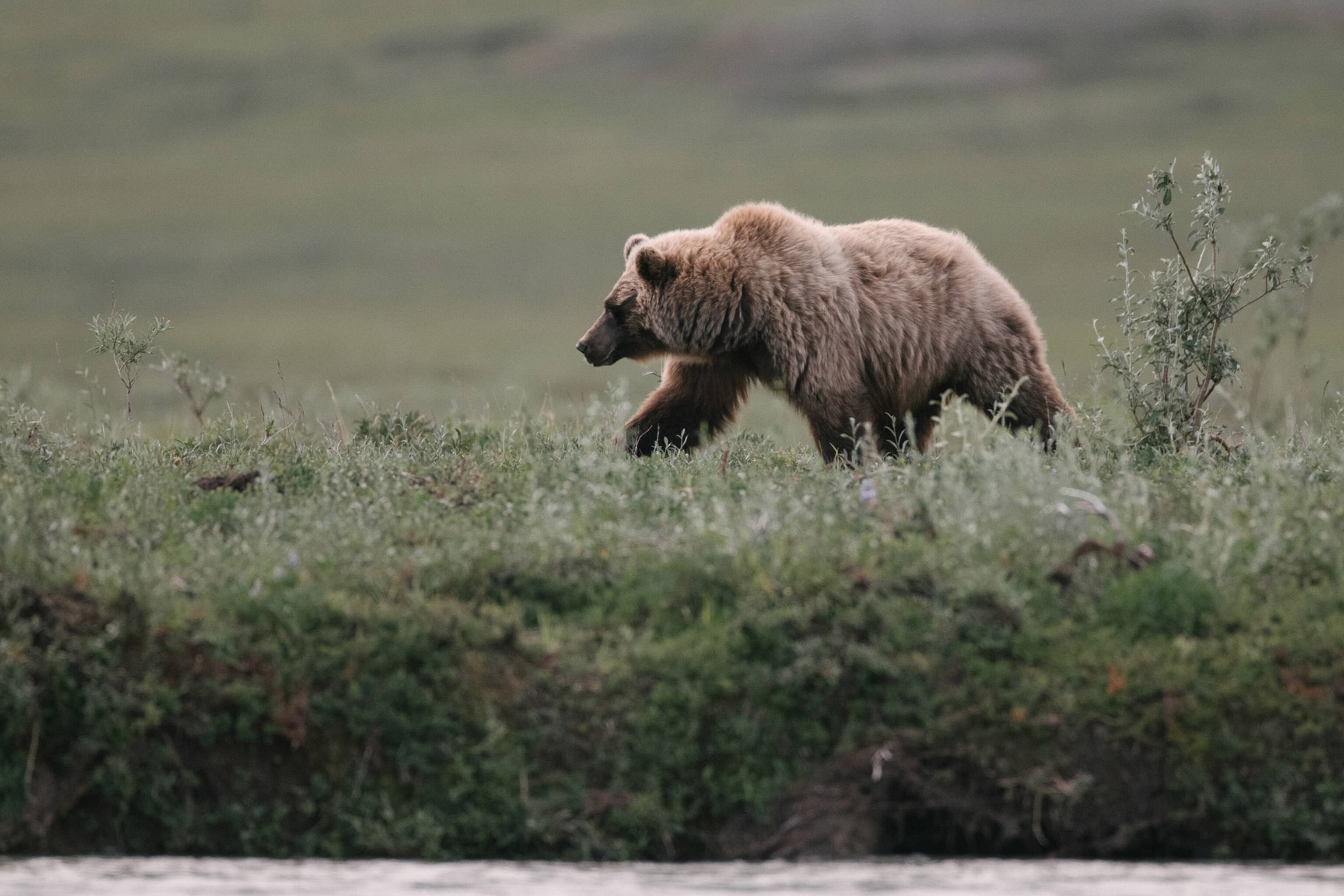 See the breathtaking beauty of Gates of the Arctic National Park