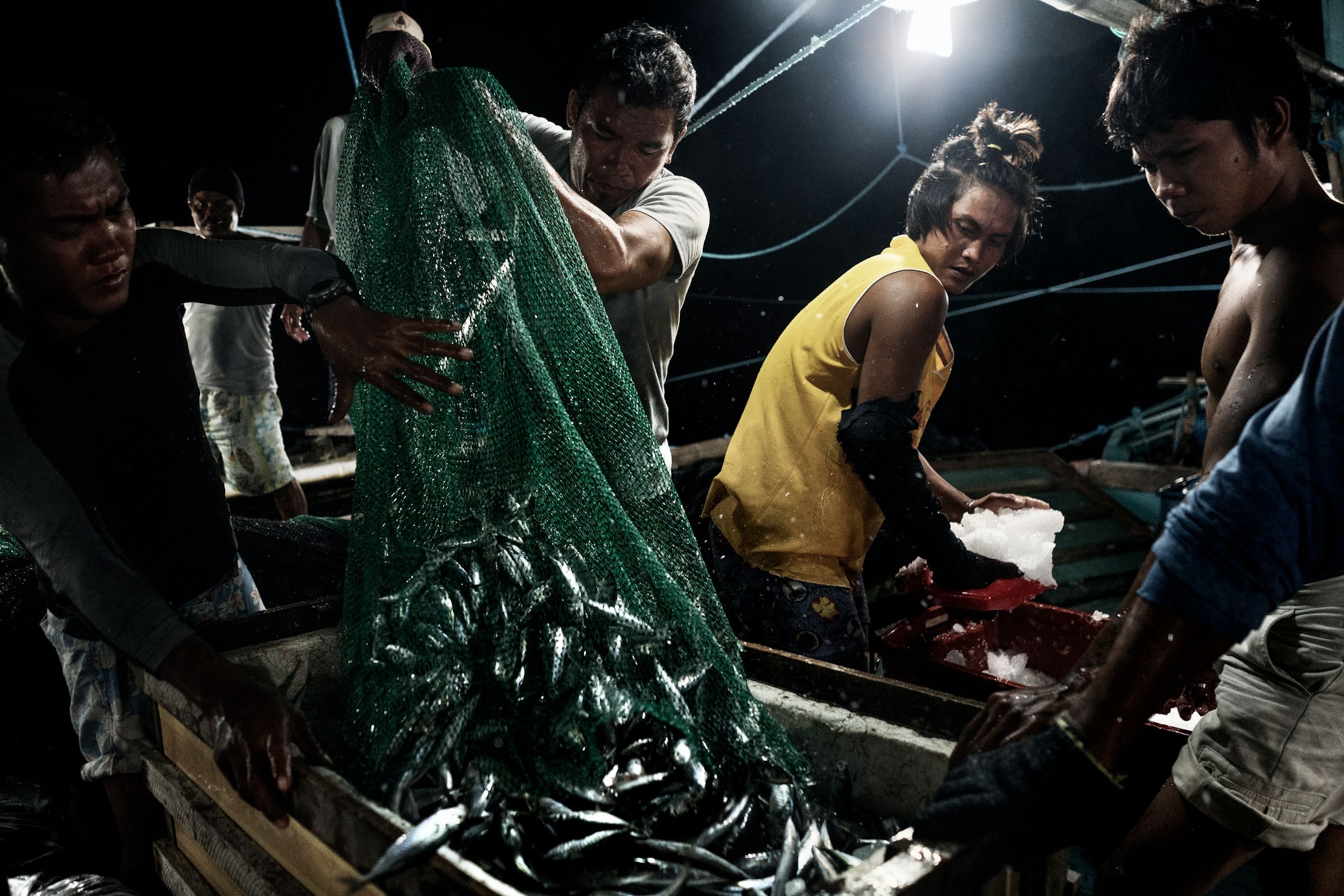 The South China Sea Dispute Is Decimating Fish Stocks