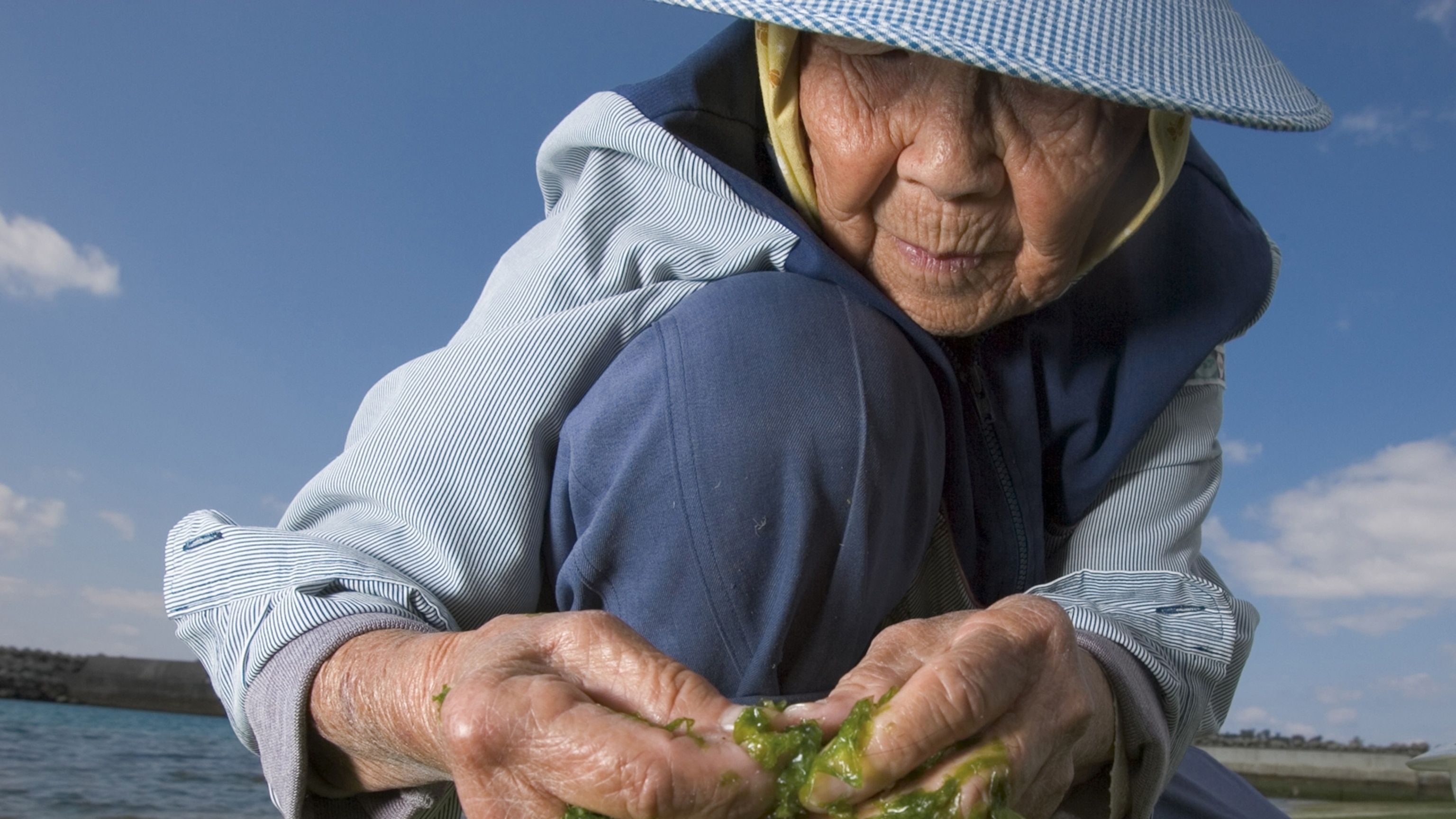 How the world first learned about longevity Blue Zones