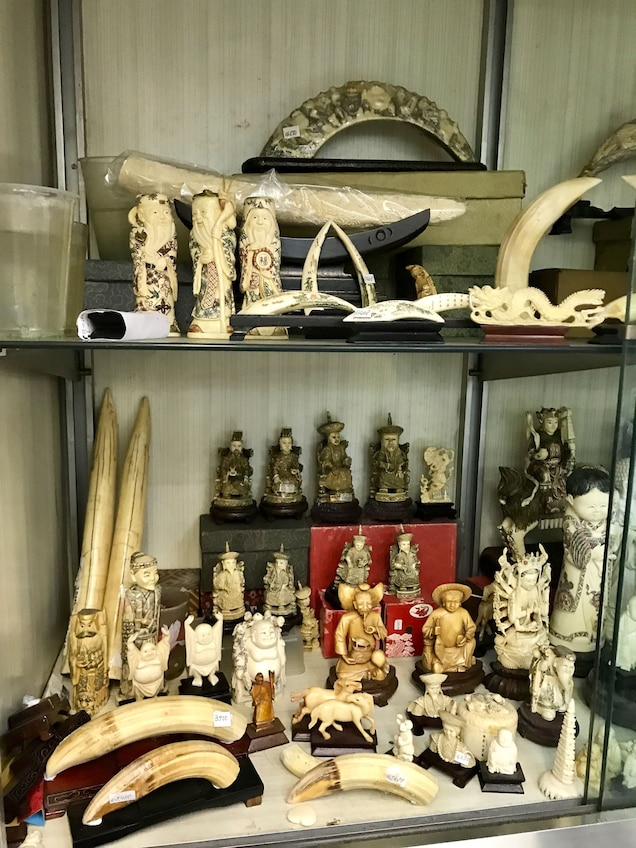 Hippo teeth and carvings are widely for sale in Hong Kong. Photograph by Alexandra Andersson