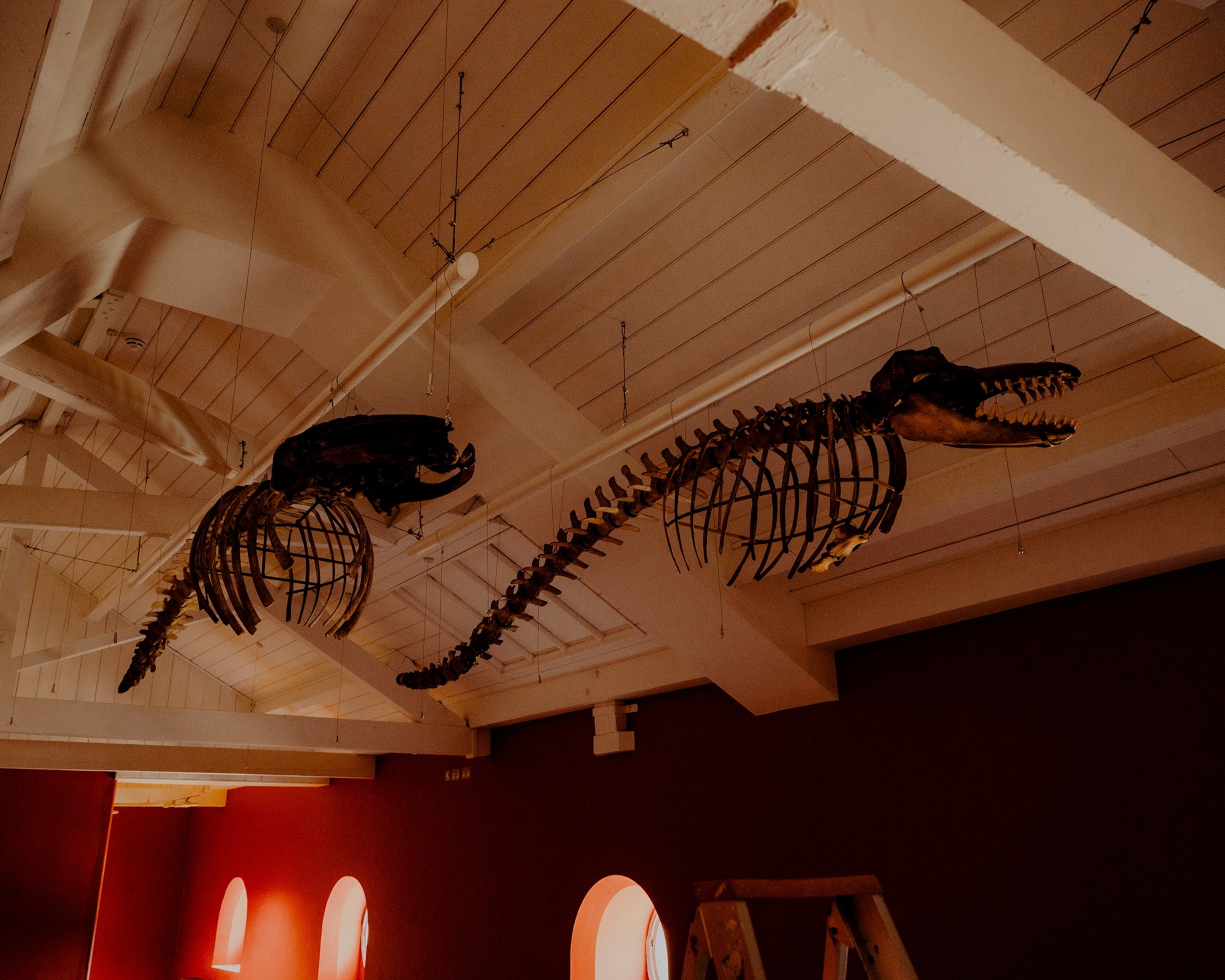 Hull, United Kingdom — July 2025: General scenes from Hull’s maritime heritage and community, photographed for National Geographic.