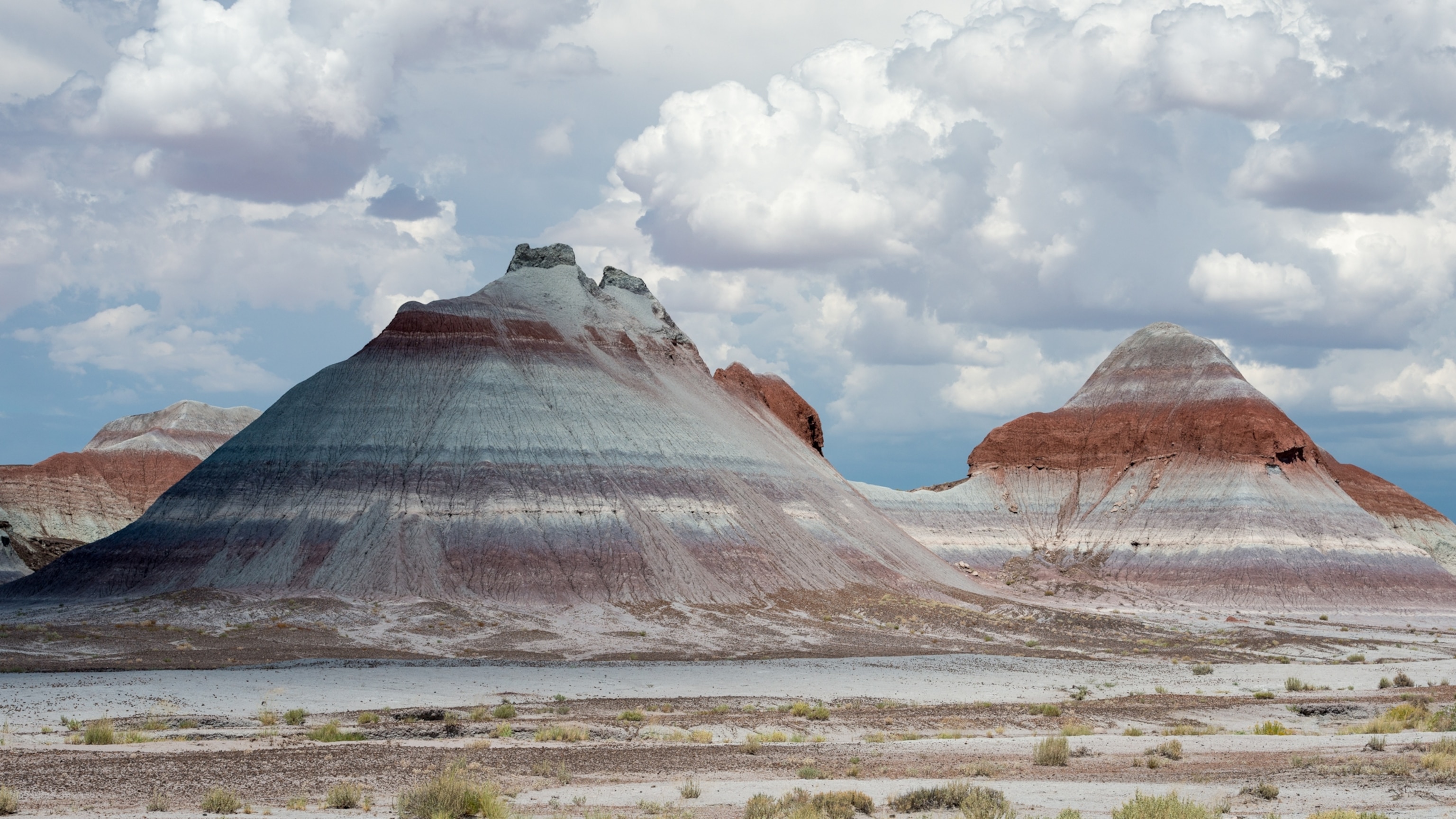 Everything you should know about Petrified Forest National Park
