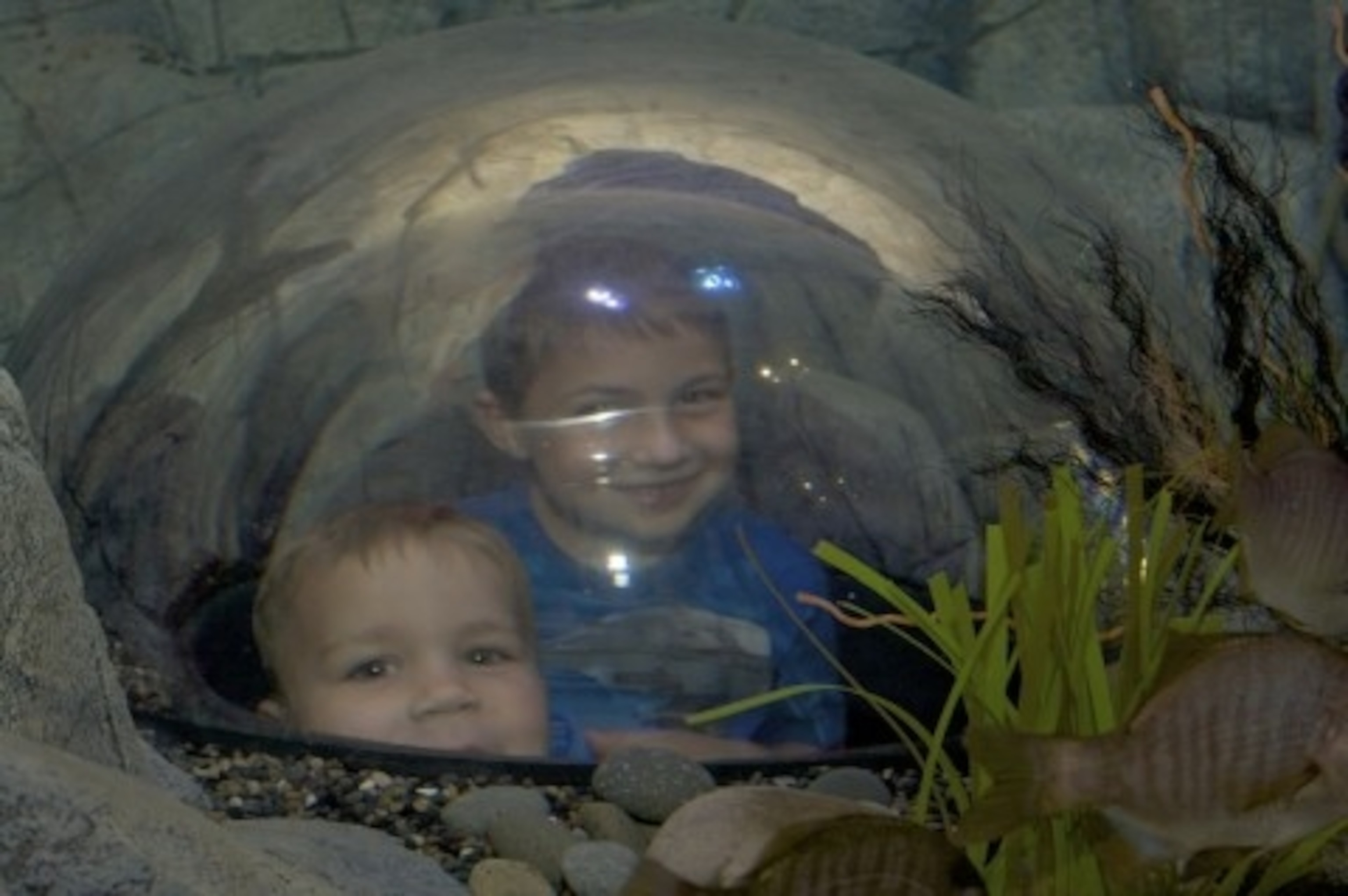 Legoland diving bell