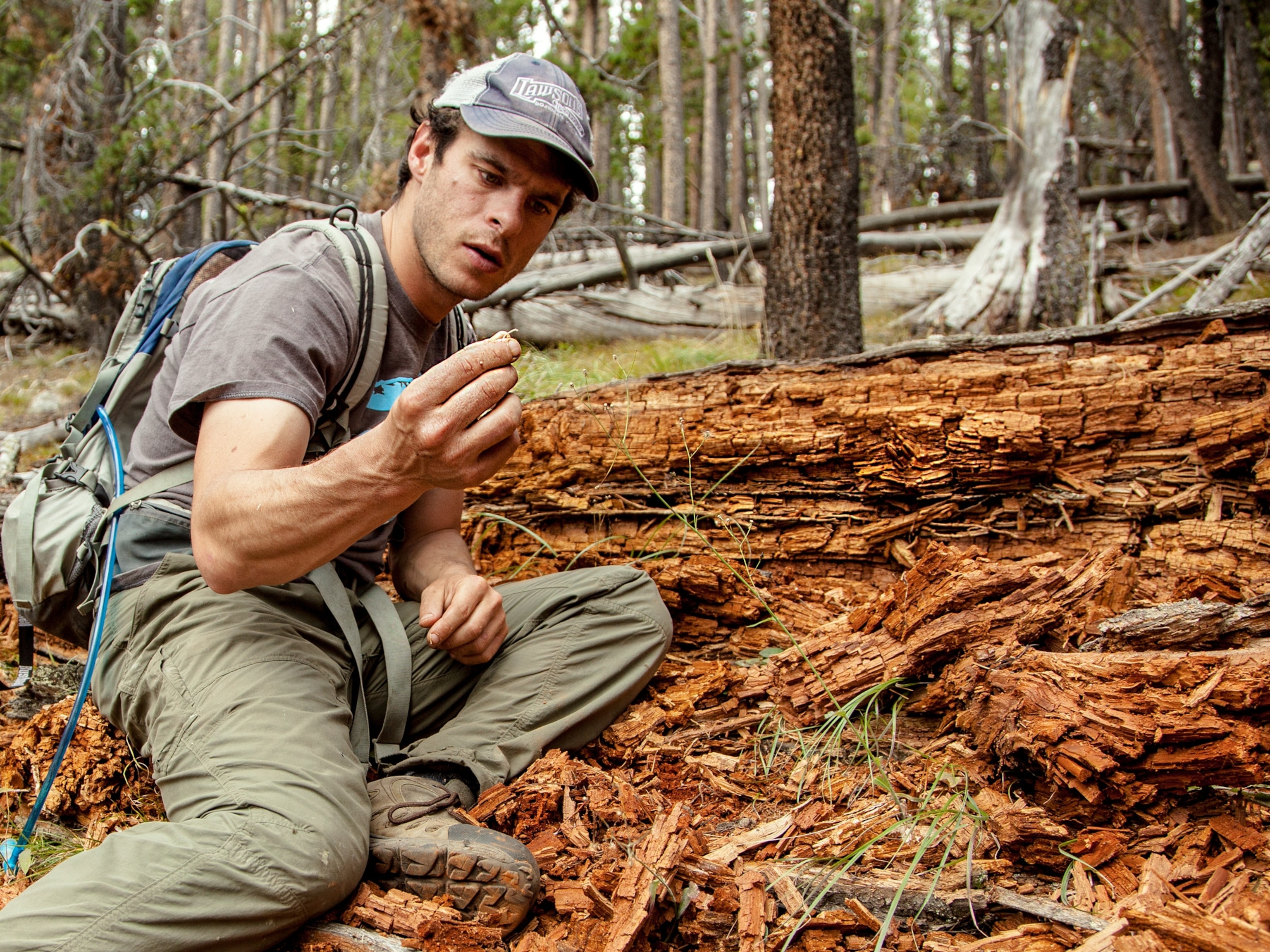 2013 National Geographic Emerging Explorer, Gregg Treinish.