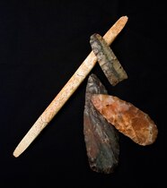 Oldest Burial Yields DNA Evidence Of First Americans National Geographic