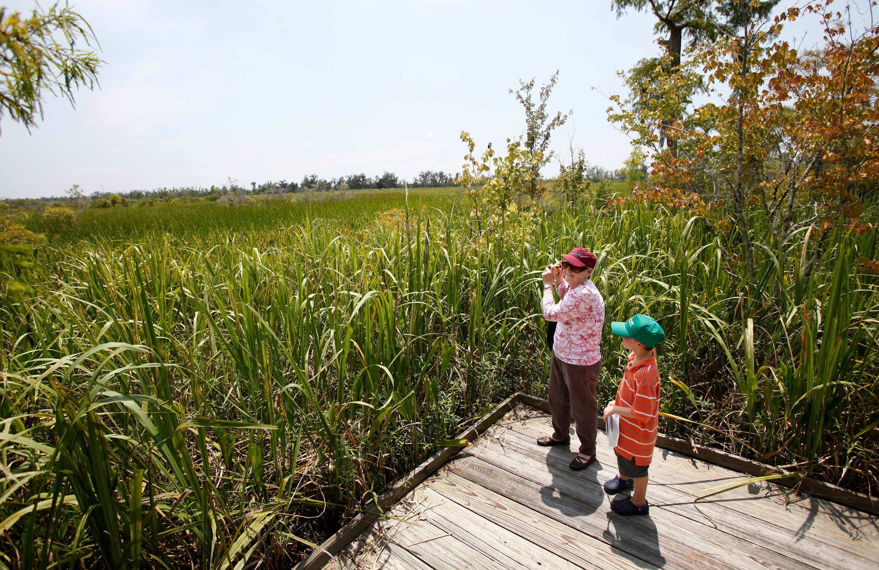 visitors to Jean Lafitte National Park and Reserve, Louisana