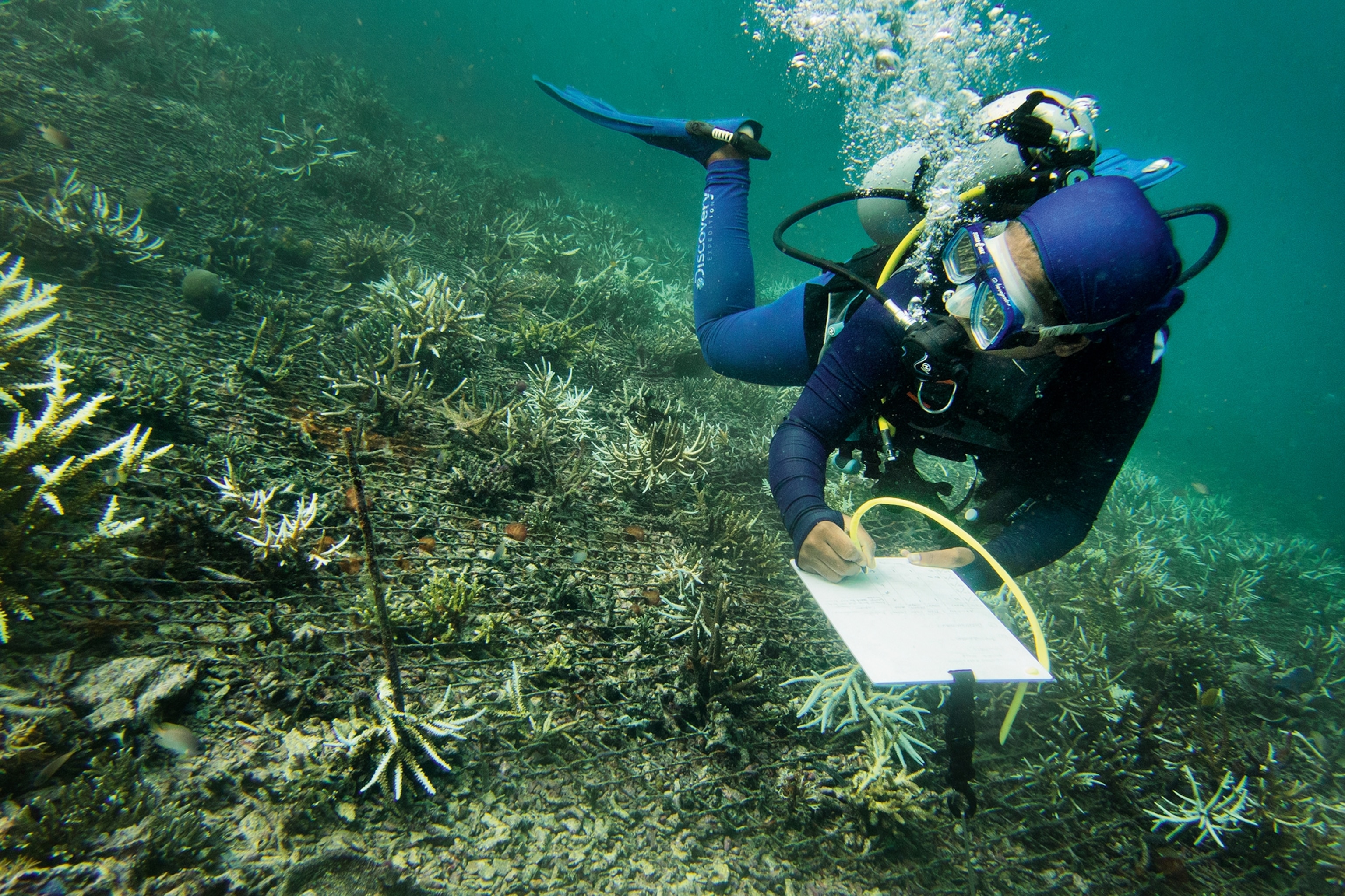 These Indonesian corals reefs are considered sacred-here's why | National Geographic