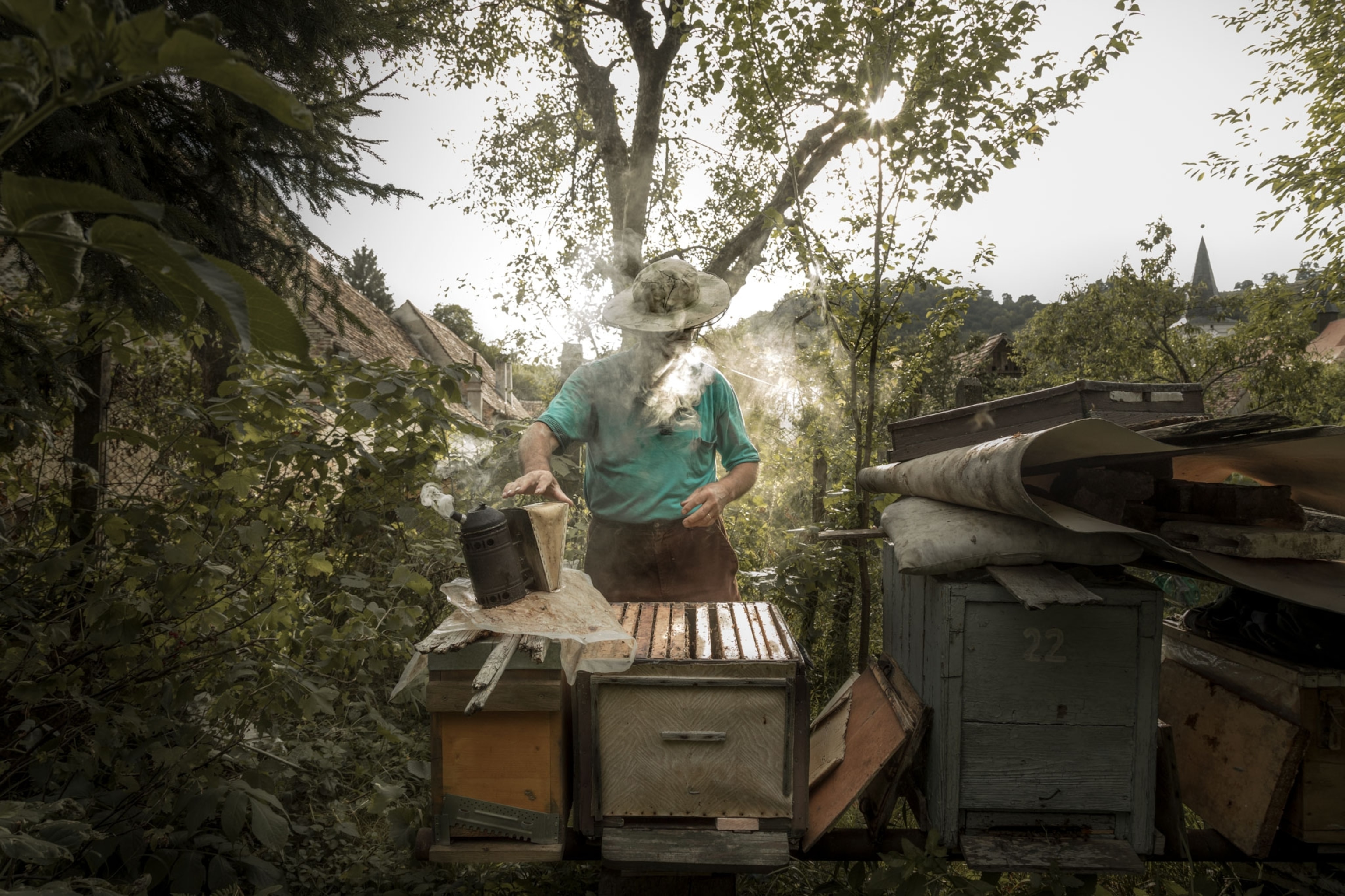 a beekeeper
