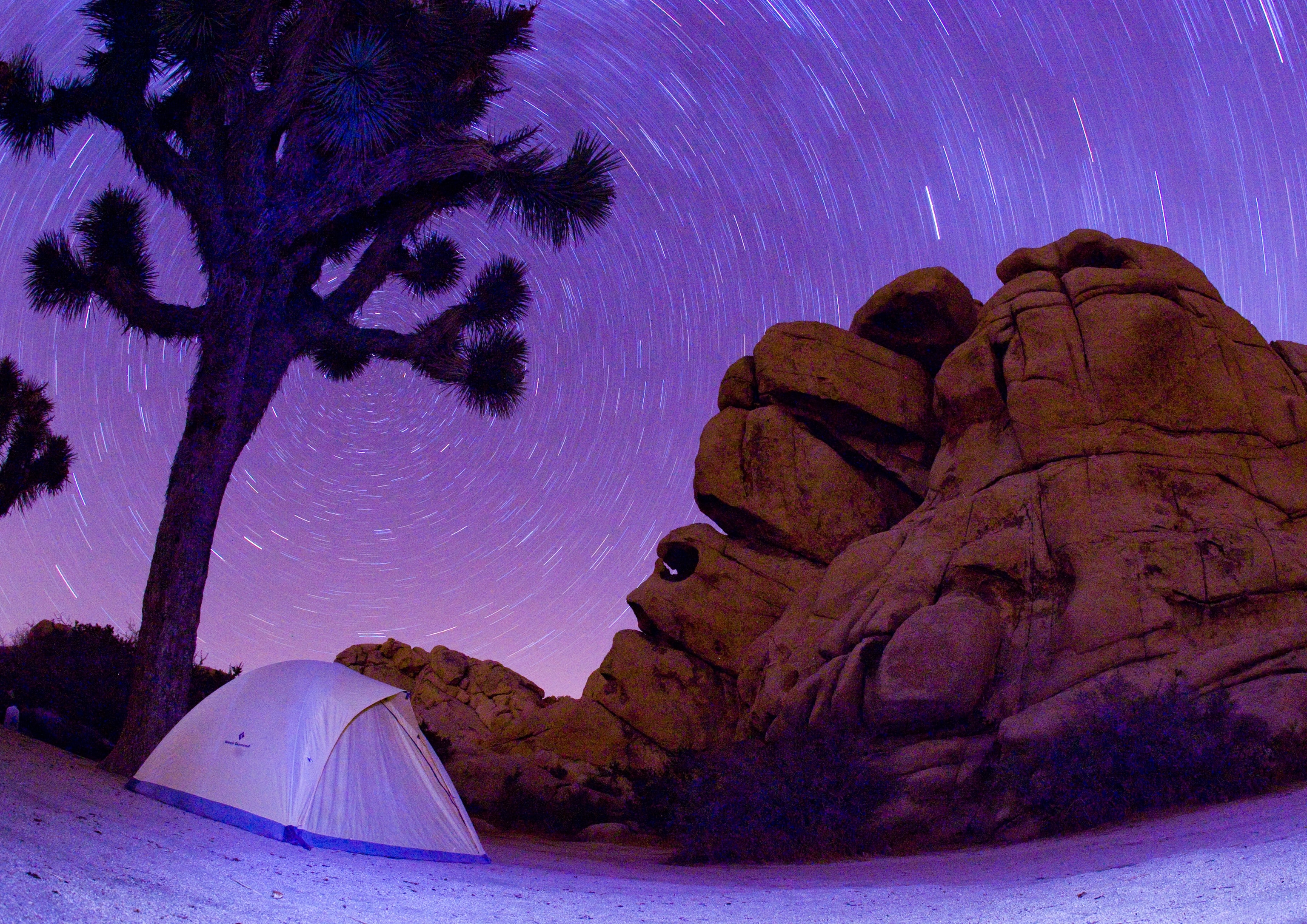 a camp tent under the night sky and stars, Joshua Tree National Park