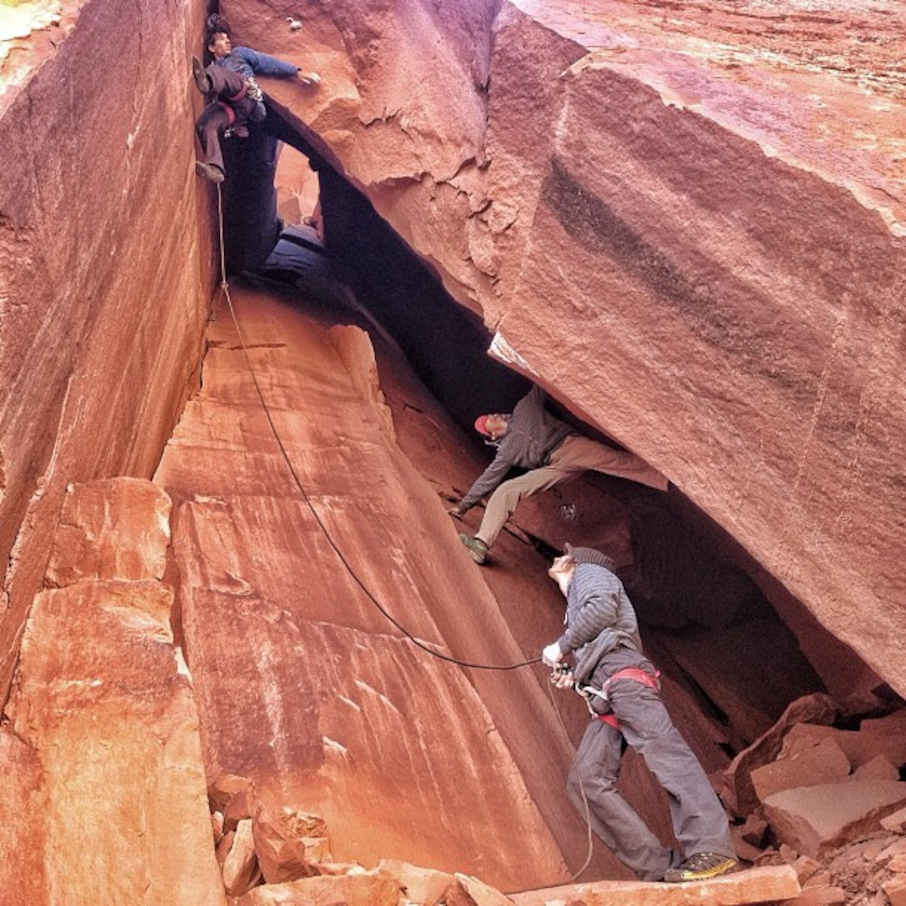 Alex Honnold climbing