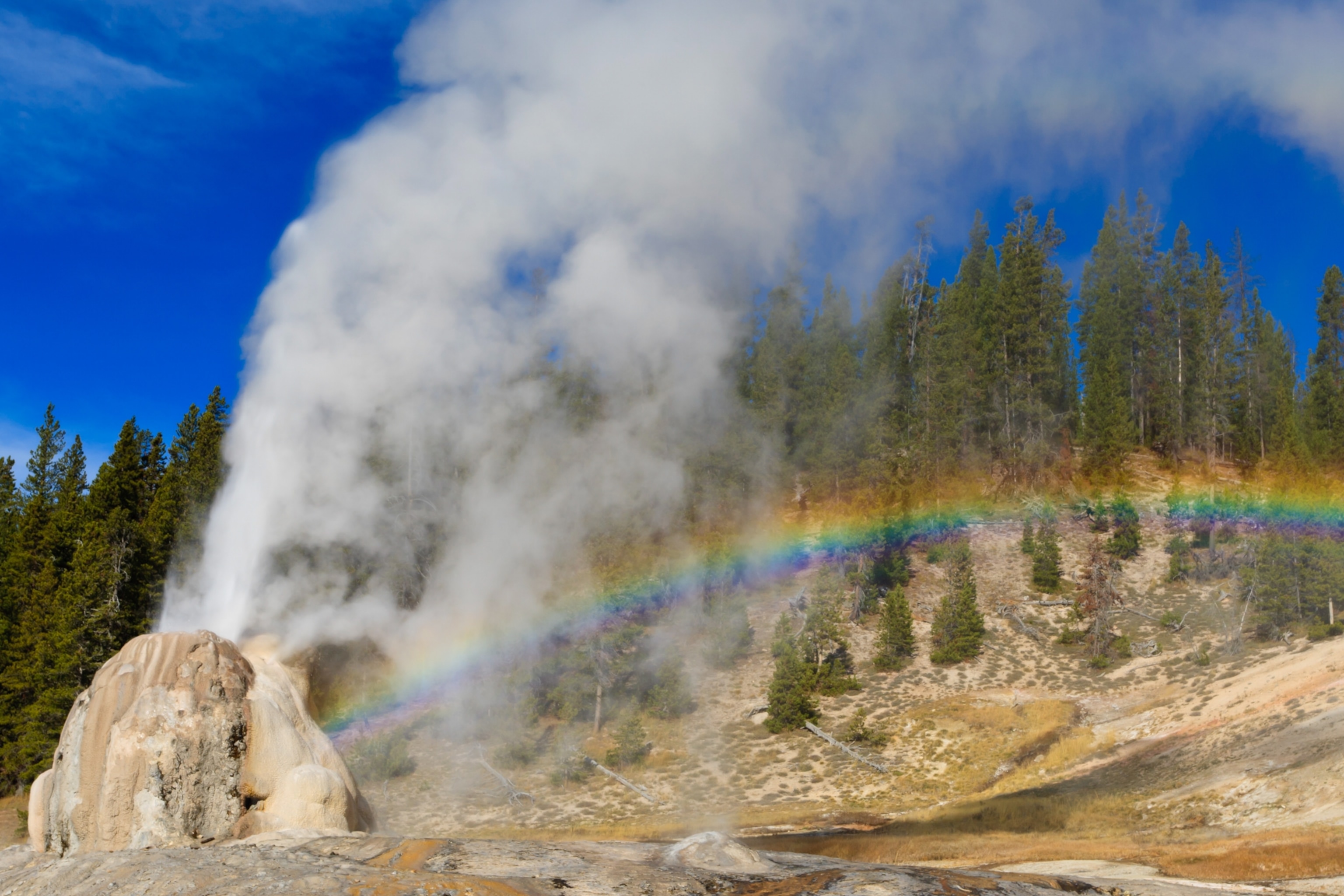 Lone Star Geyser erupts and creates rainbow, Yellowstone National Park.