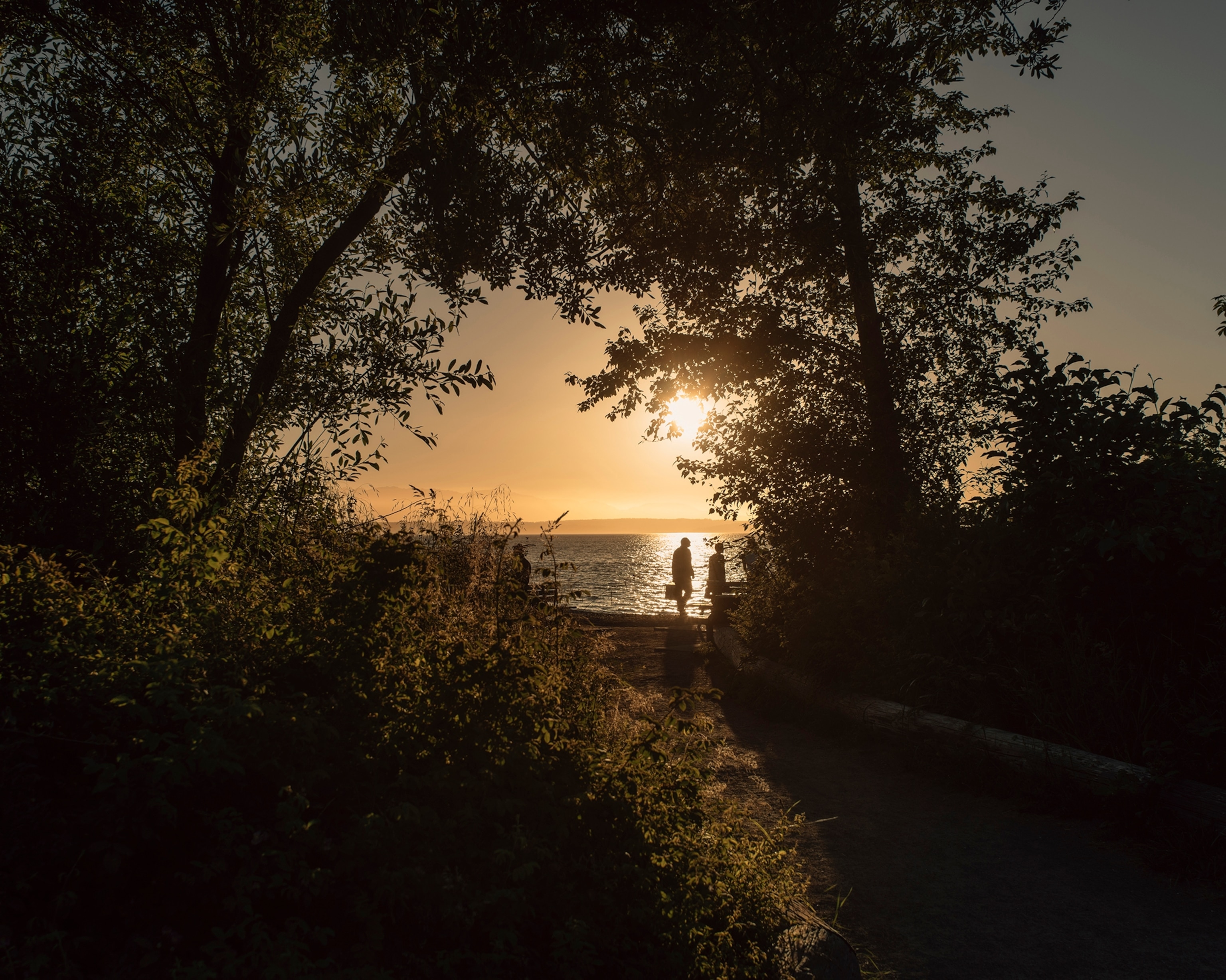 the sunset at Golden Gardens Park in Seattle, Washington