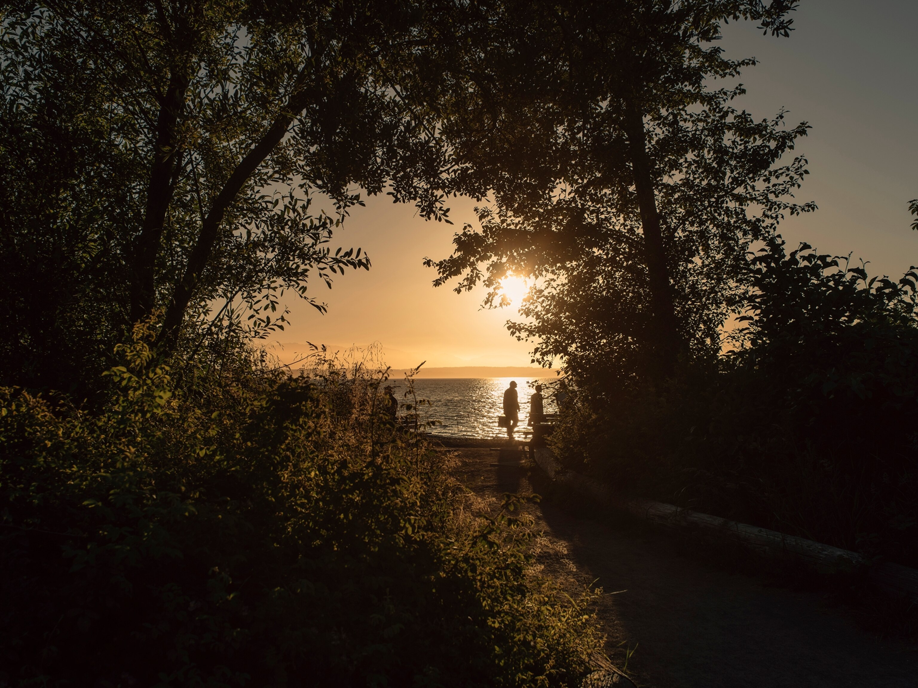 the sunset at Golden Gardens Park in Seattle, Washington