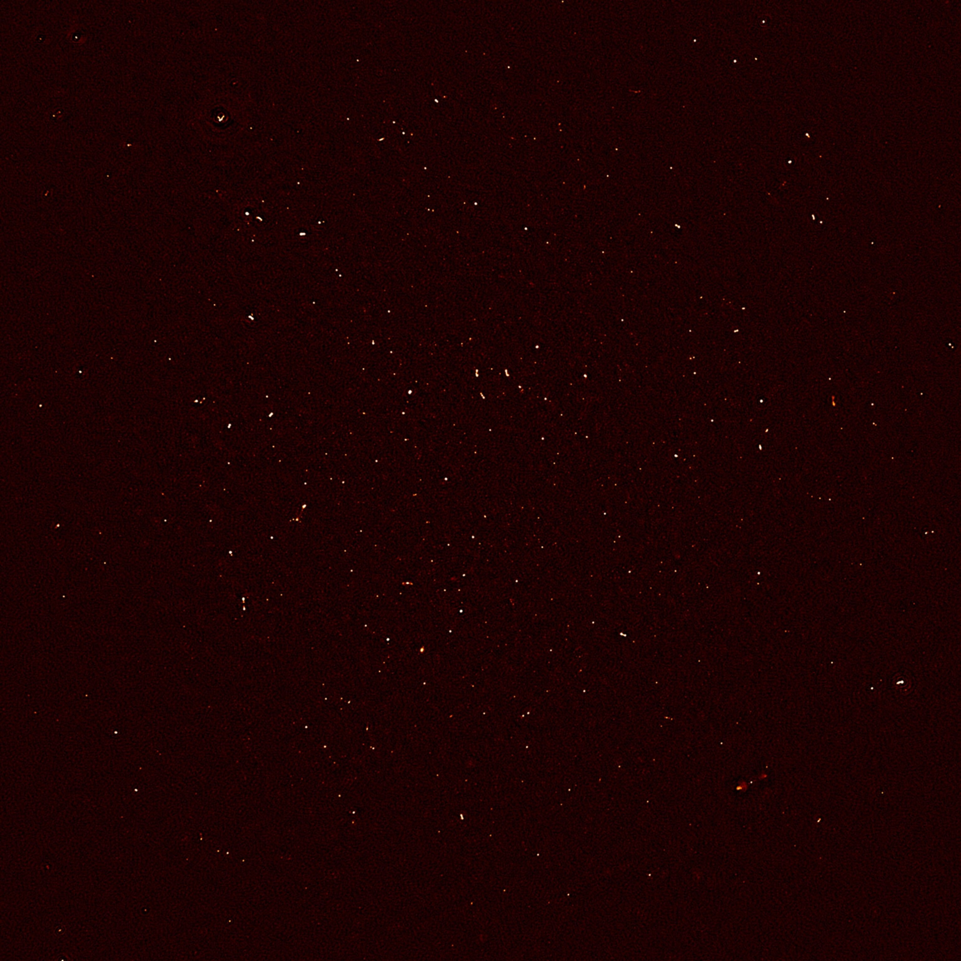 galaxies in the distant universe