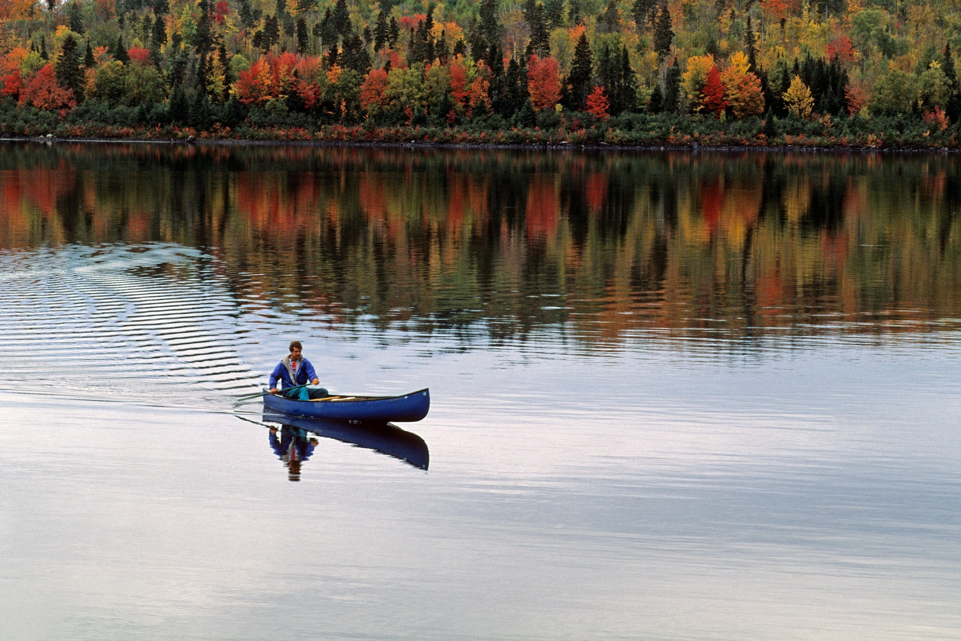 A man canoeing on a river surrounded by trees in Autumn.